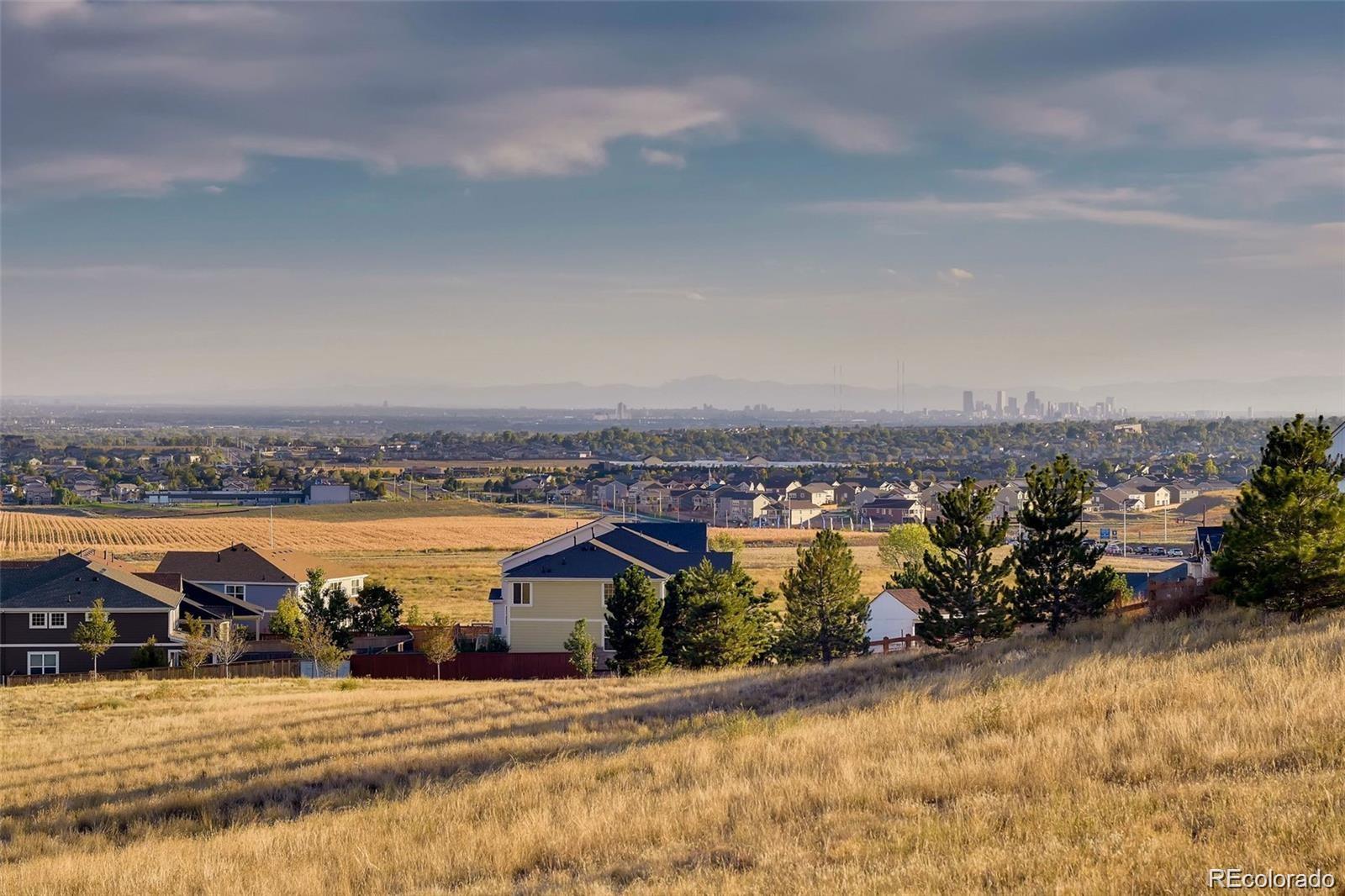 MLS Image #39 for 7888 e 139th place,brighton, Colorado
