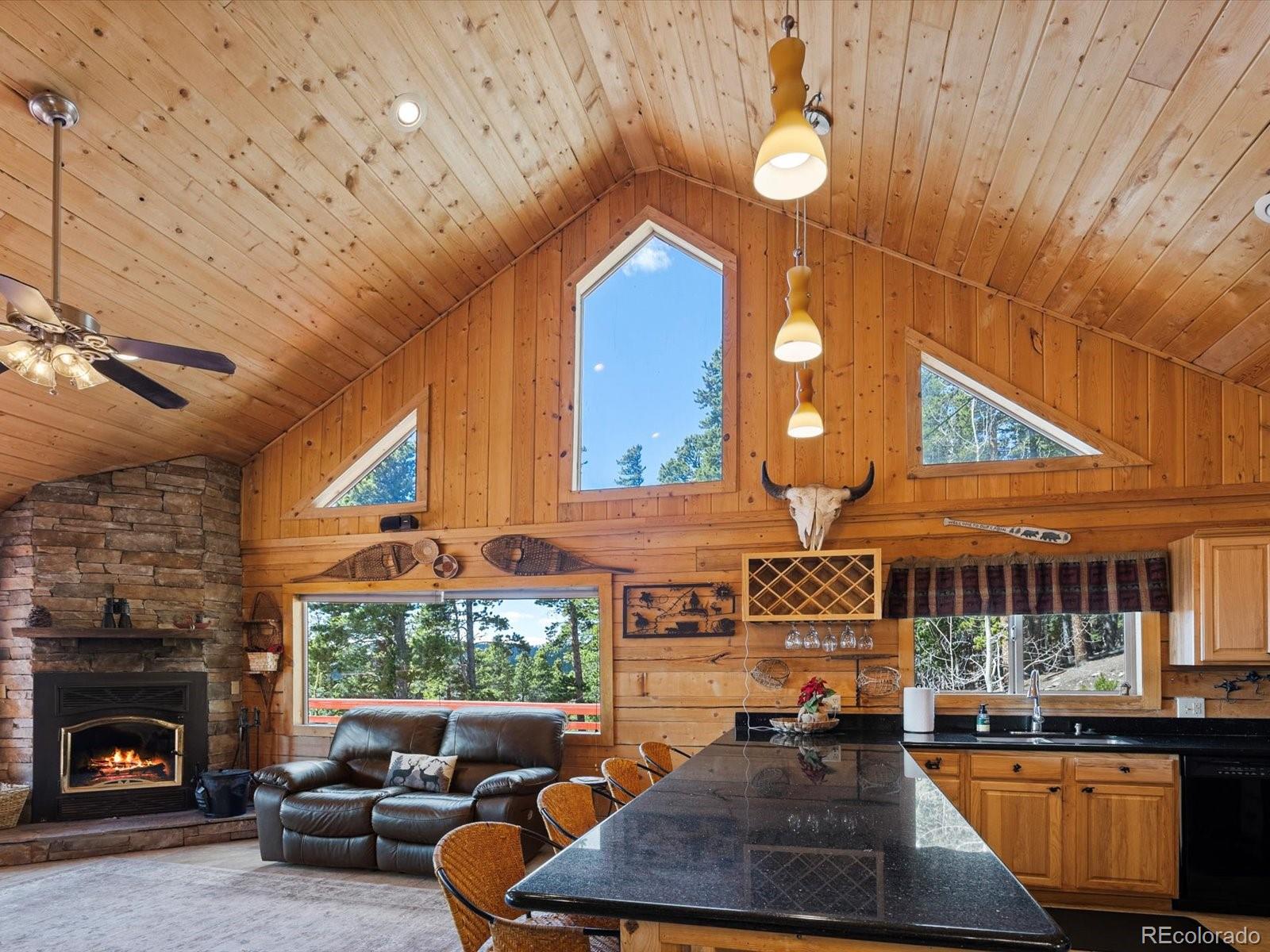 MLS Image #15 for 451  harris drive,idaho springs, Colorado