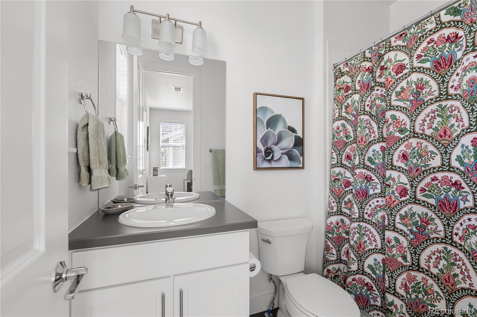 MLS Image #29 for 2027  vallejo loop,broomfield, Colorado