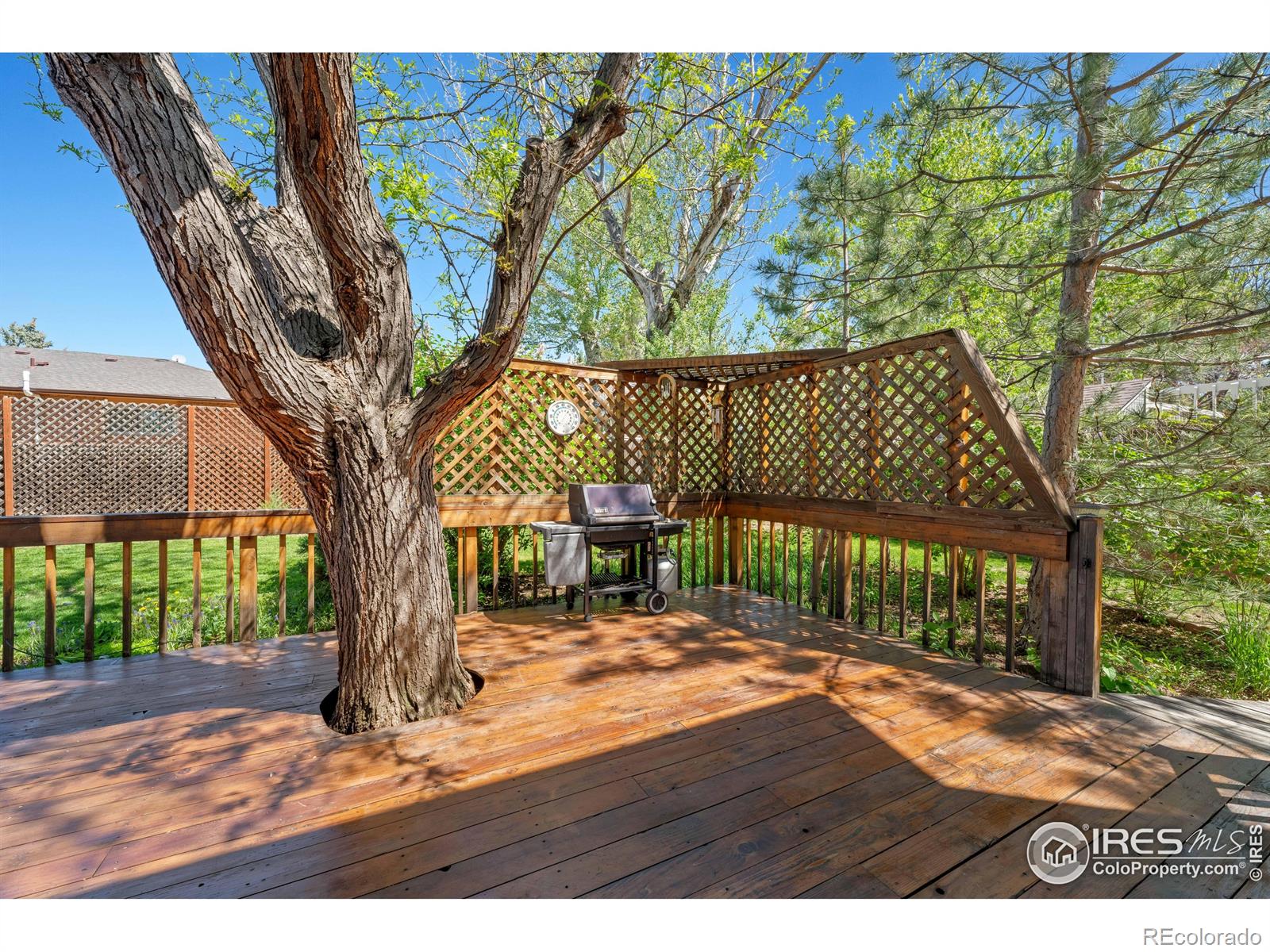 MLS Image #32 for 128  baylor drive,longmont, Colorado