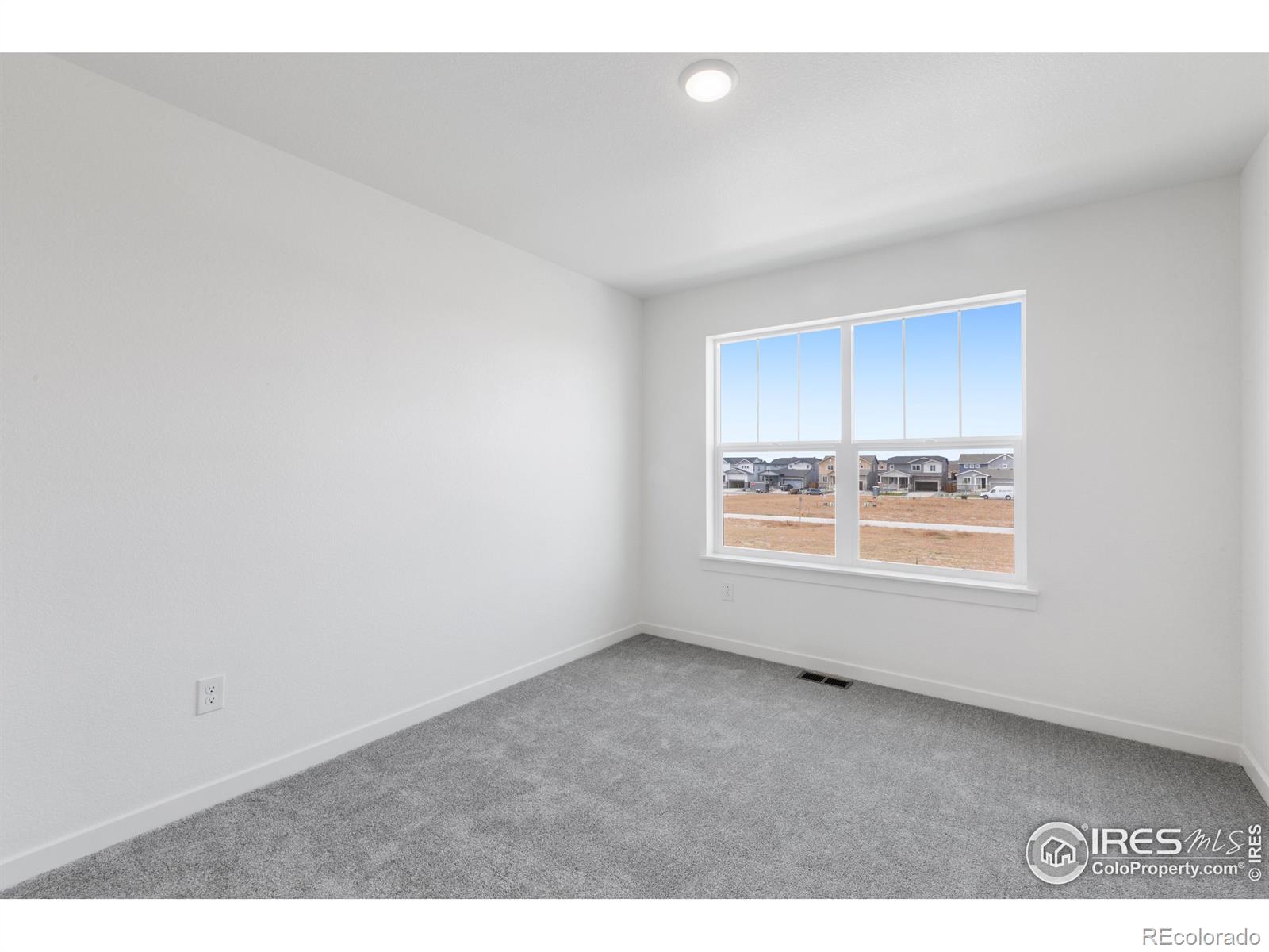MLS Image #14 for 4498  burl street,timnath, Colorado