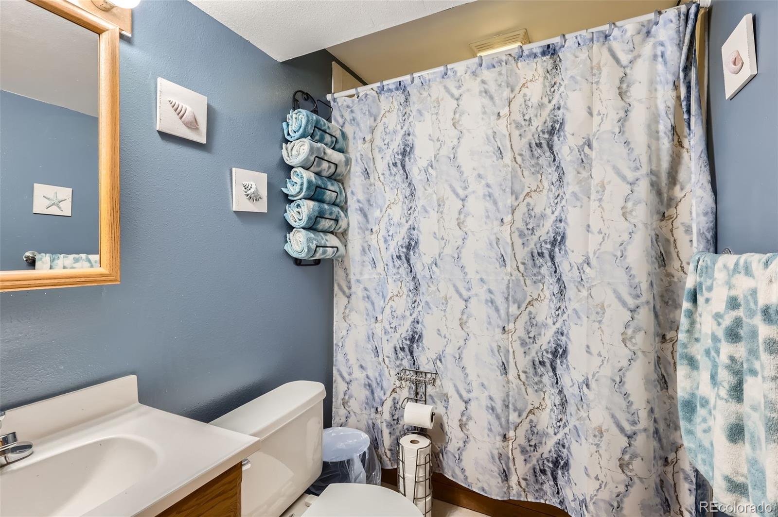 MLS Image #22 for 4533 s devinney street,morrison, Colorado