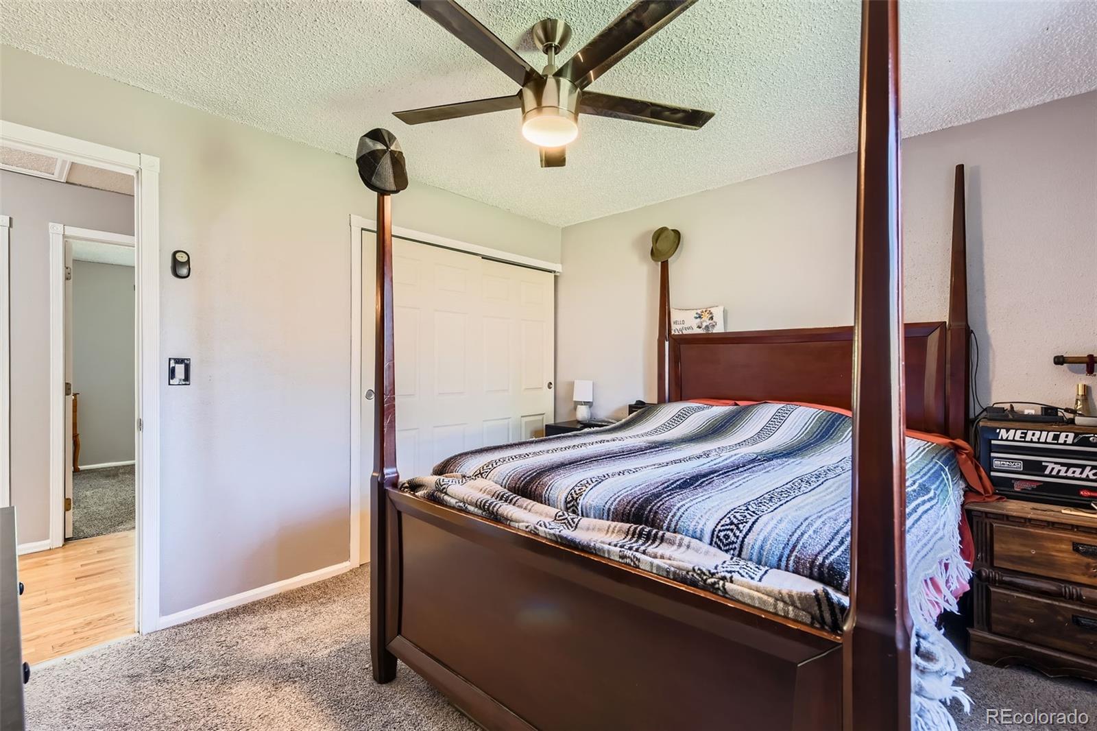 MLS Image #9 for 4533 s devinney street,morrison, Colorado
