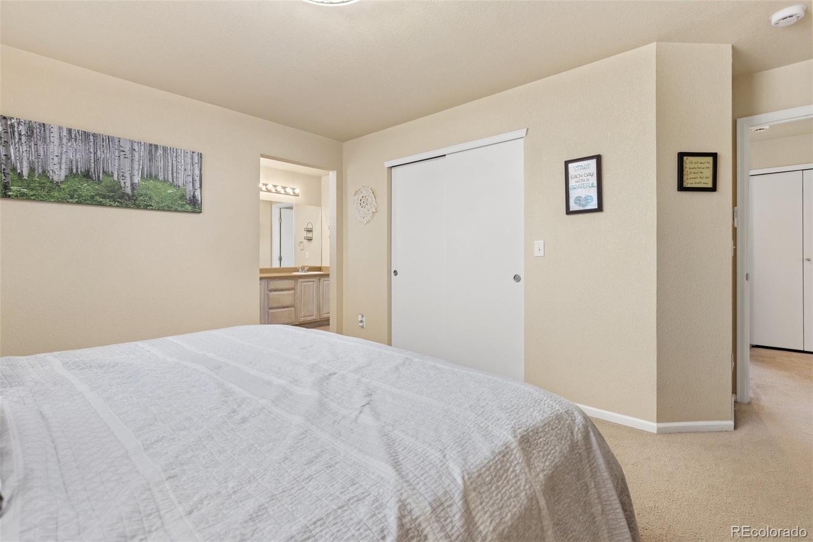 MLS Image #20 for 217  peabody street,castle rock, Colorado