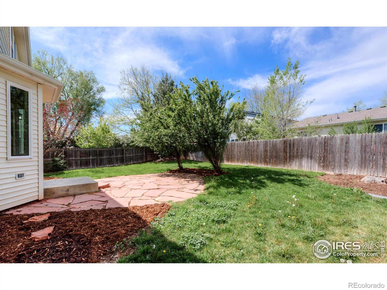MLS Image #18 for 1295  cumberland drive,longmont, Colorado