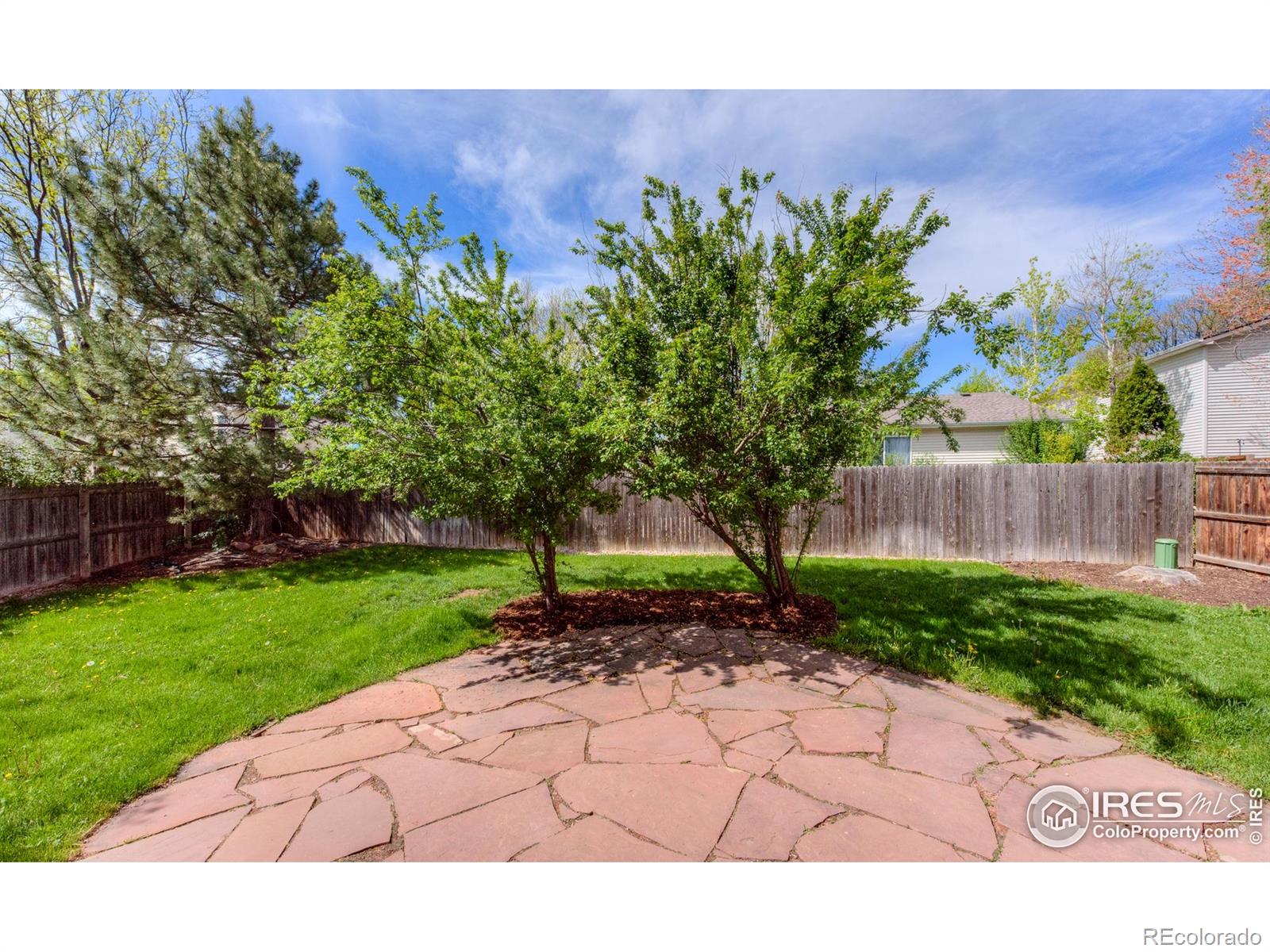 MLS Image #20 for 1295  cumberland drive,longmont, Colorado