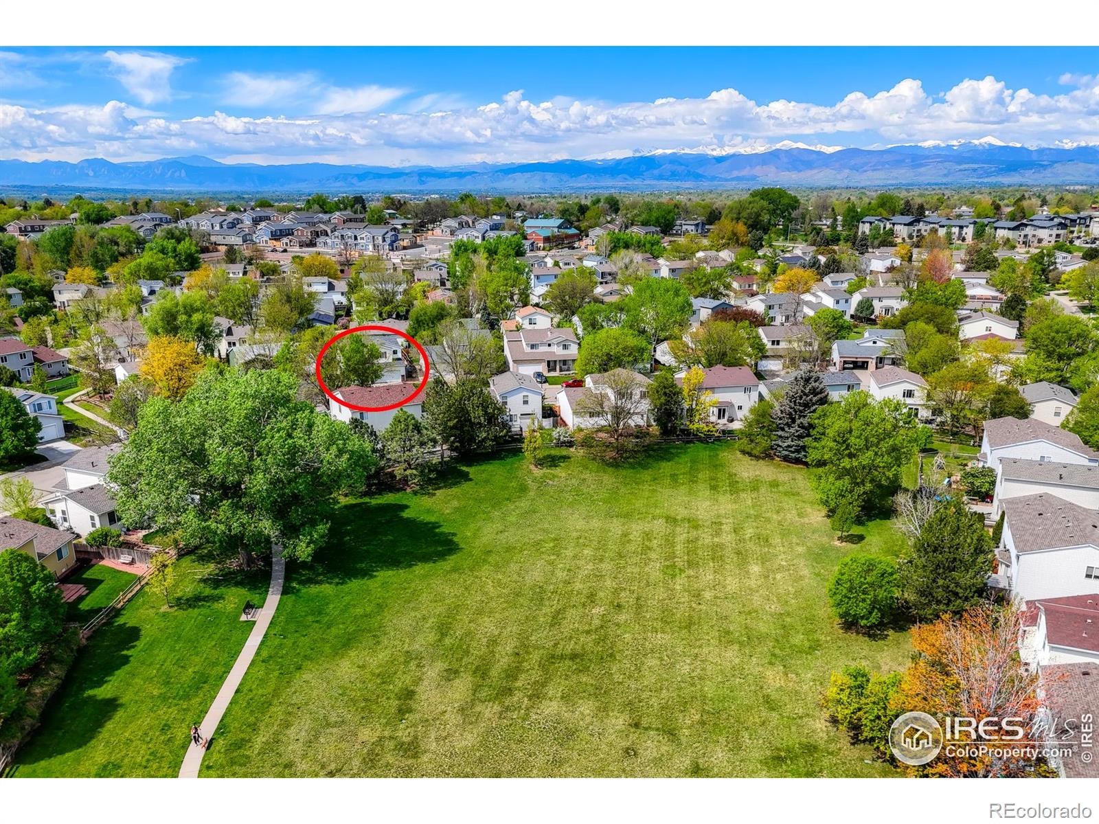MLS Image #22 for 1295  cumberland drive,longmont, Colorado