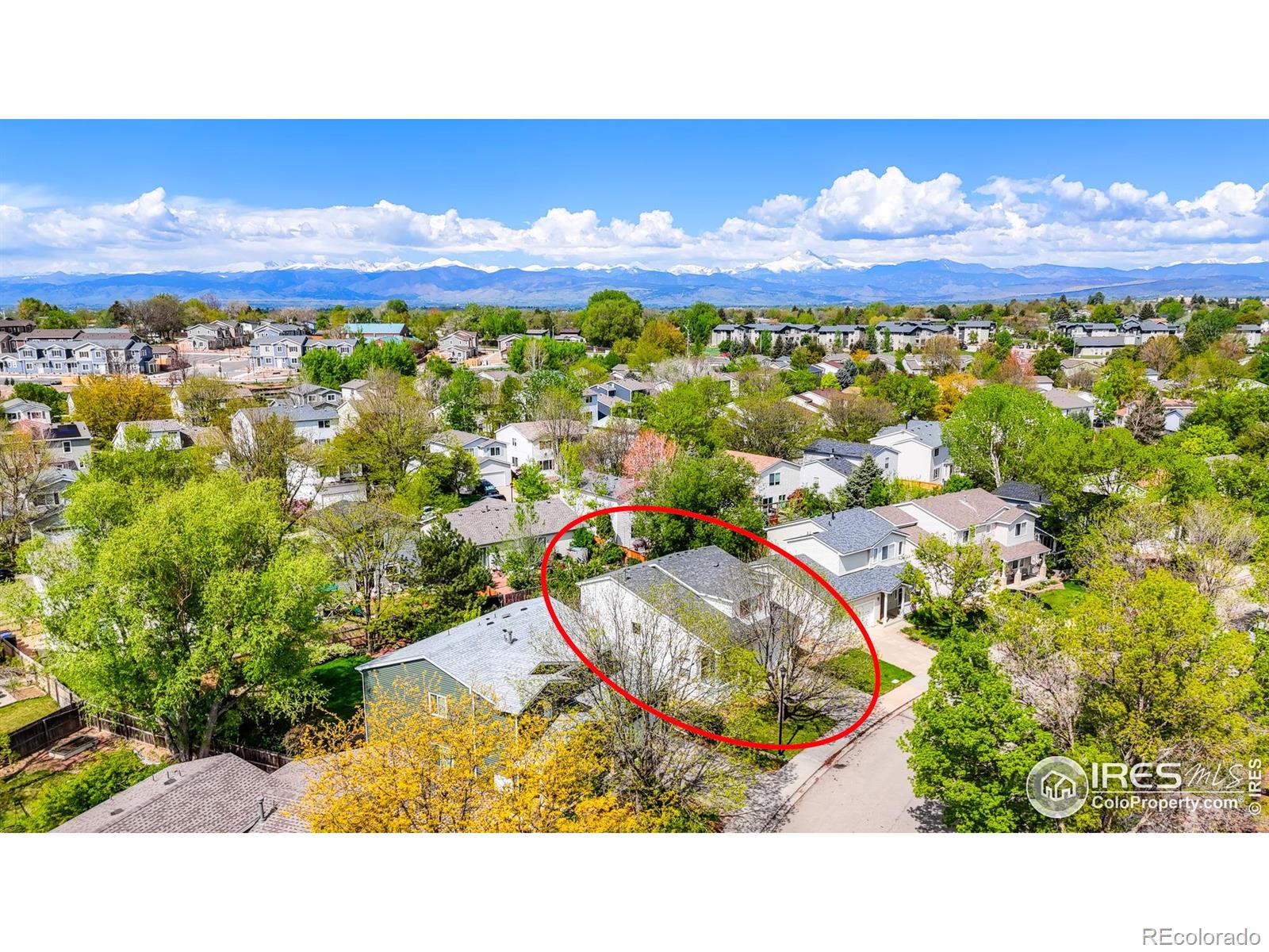 MLS Image #27 for 1295  cumberland drive,longmont, Colorado