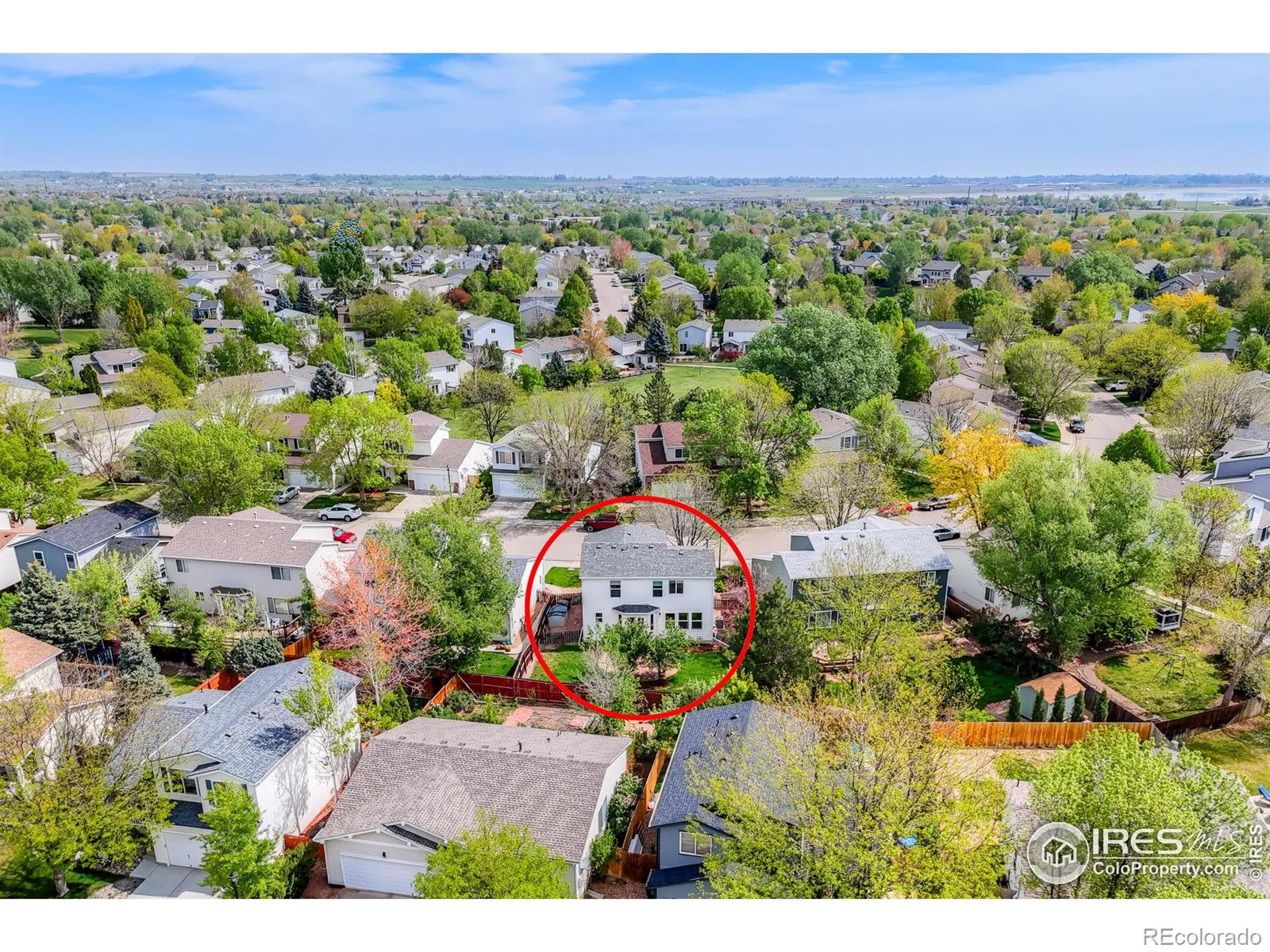 MLS Image #31 for 1295  cumberland drive,longmont, Colorado