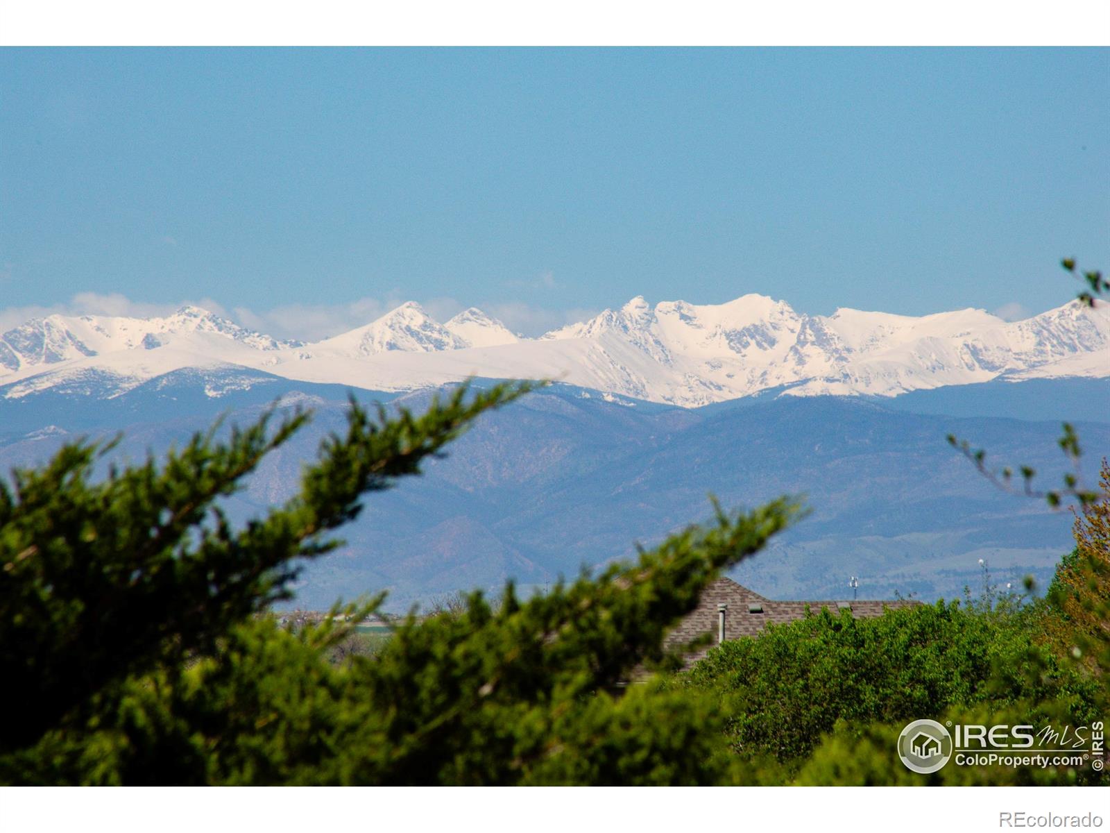MLS Image #3 for 3530  homestead drive,mead, Colorado