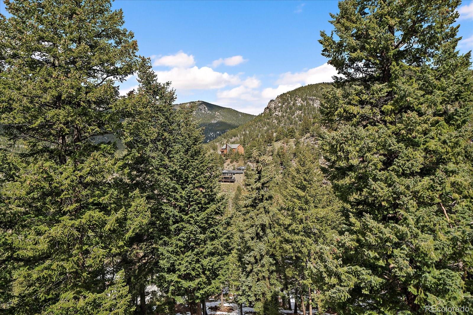 MLS Image #29 for 960  aspen place,evergreen, Colorado
