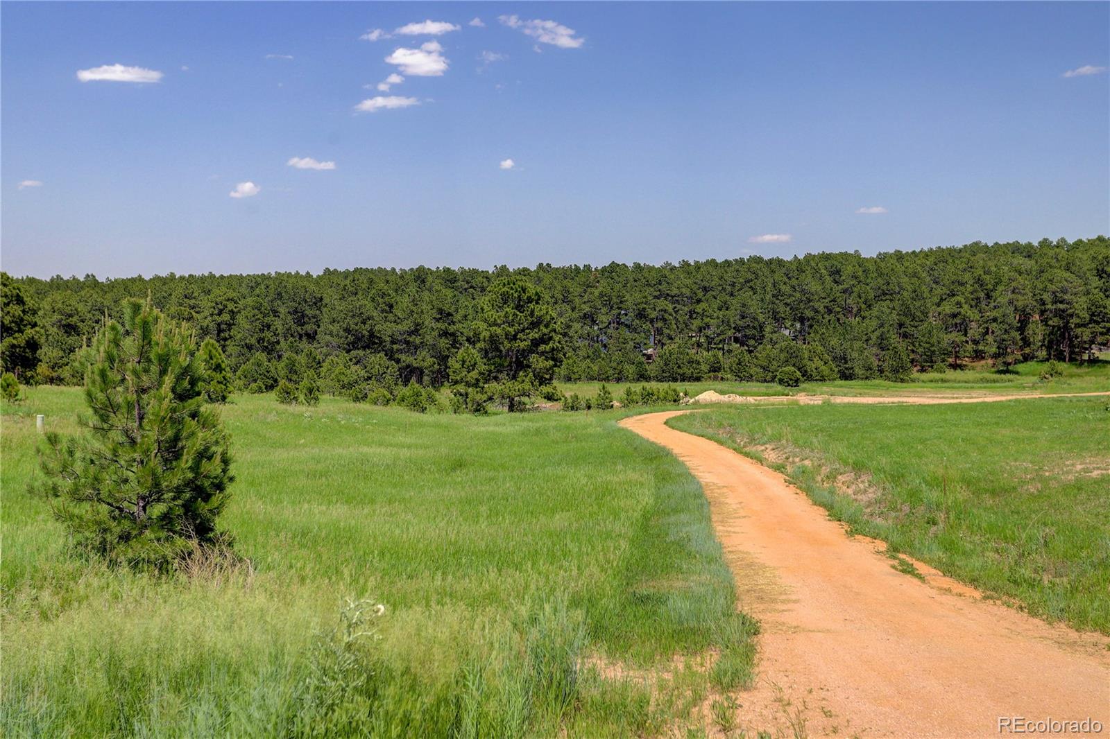 MLS Image #40 for 18190  bakers farm road,colorado springs, Colorado