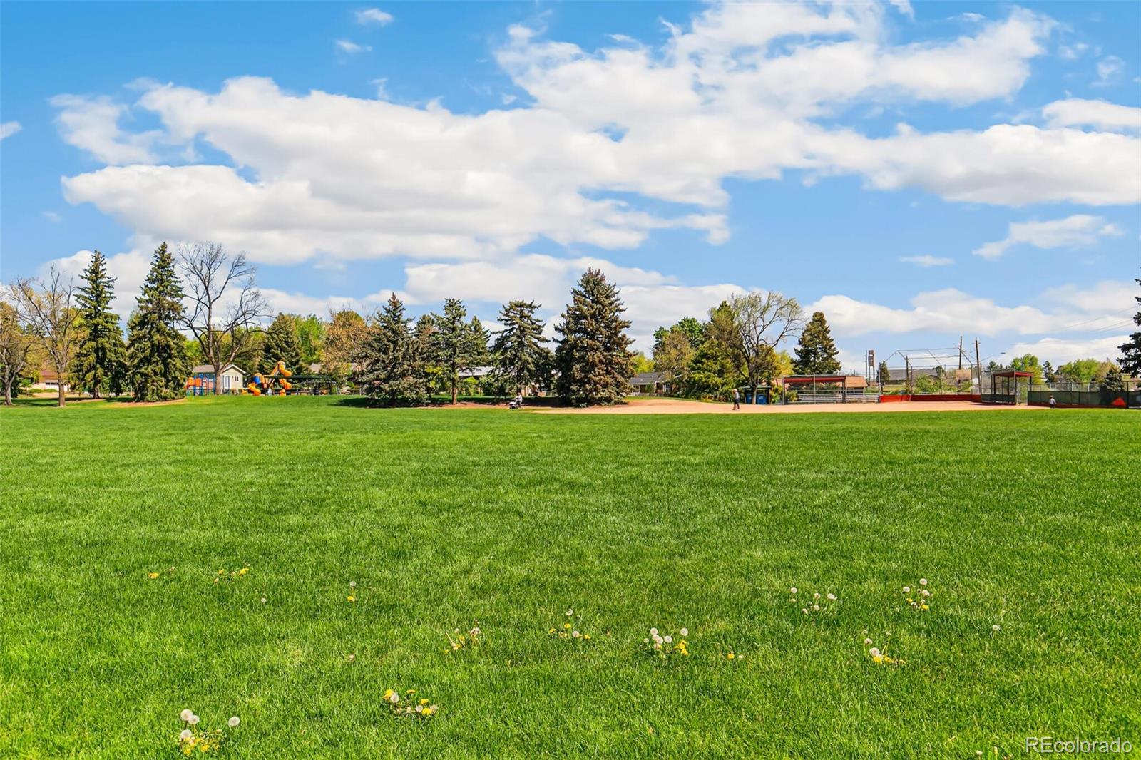 MLS Image #19 for 12046 w green mountain drive,lakewood, Colorado