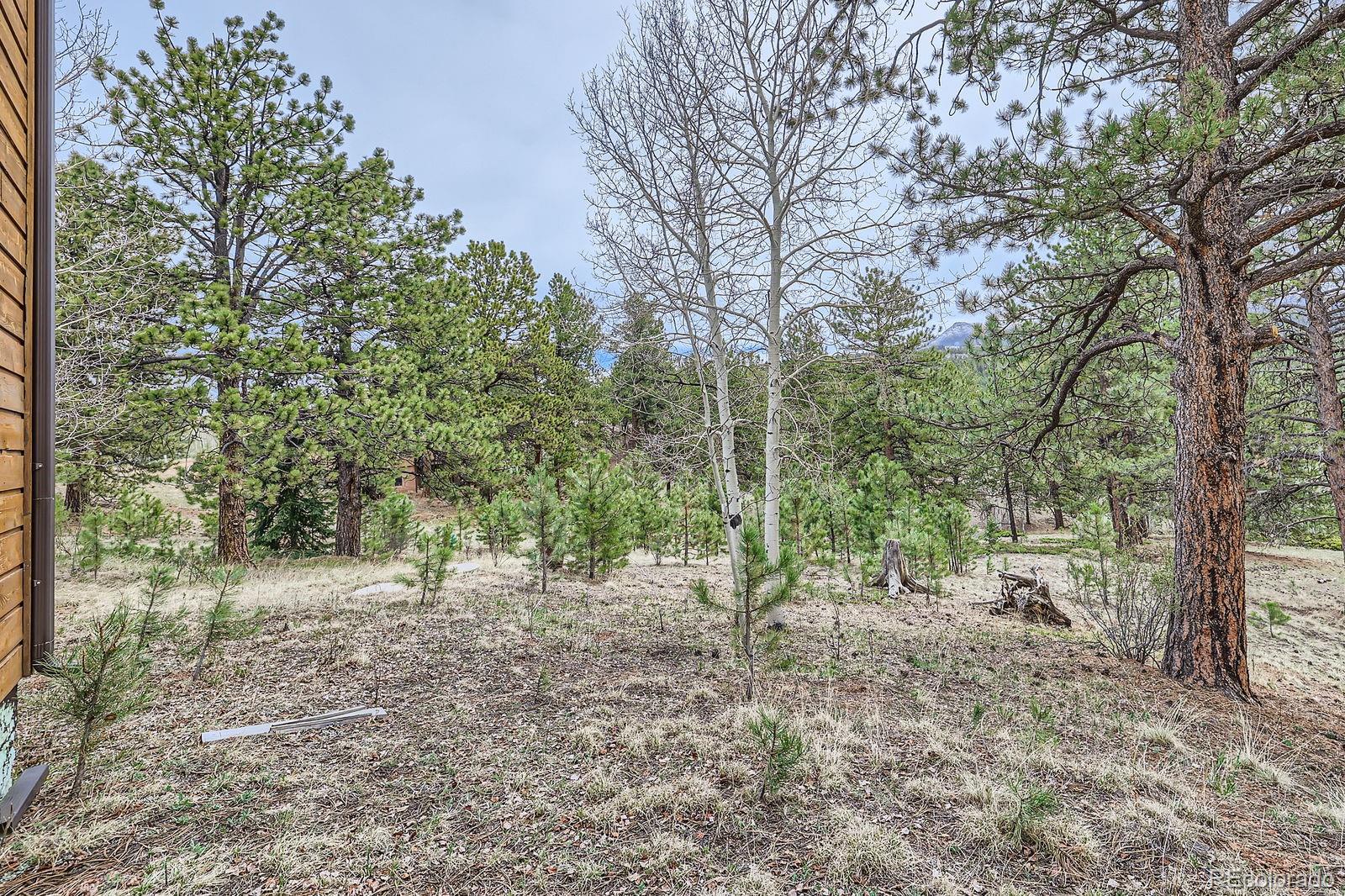 MLS Image #9 for 574  may queen ,cripple creek, Colorado