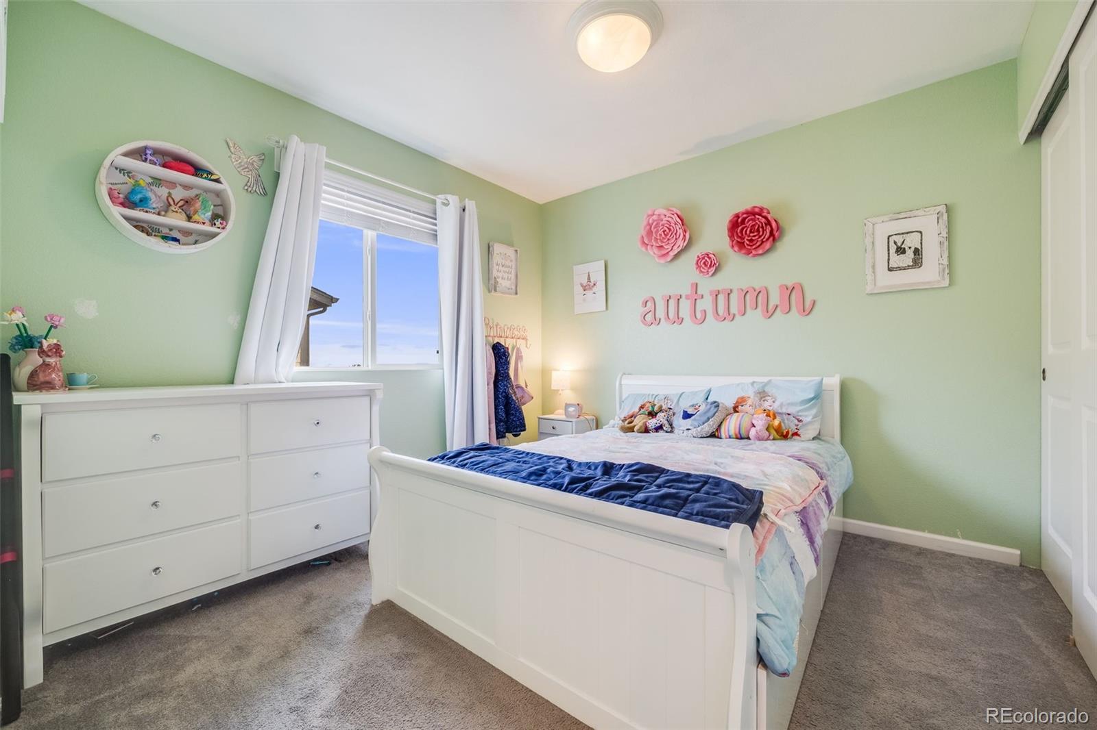 MLS Image #18 for 1108  glen creighton drive,dacono, Colorado