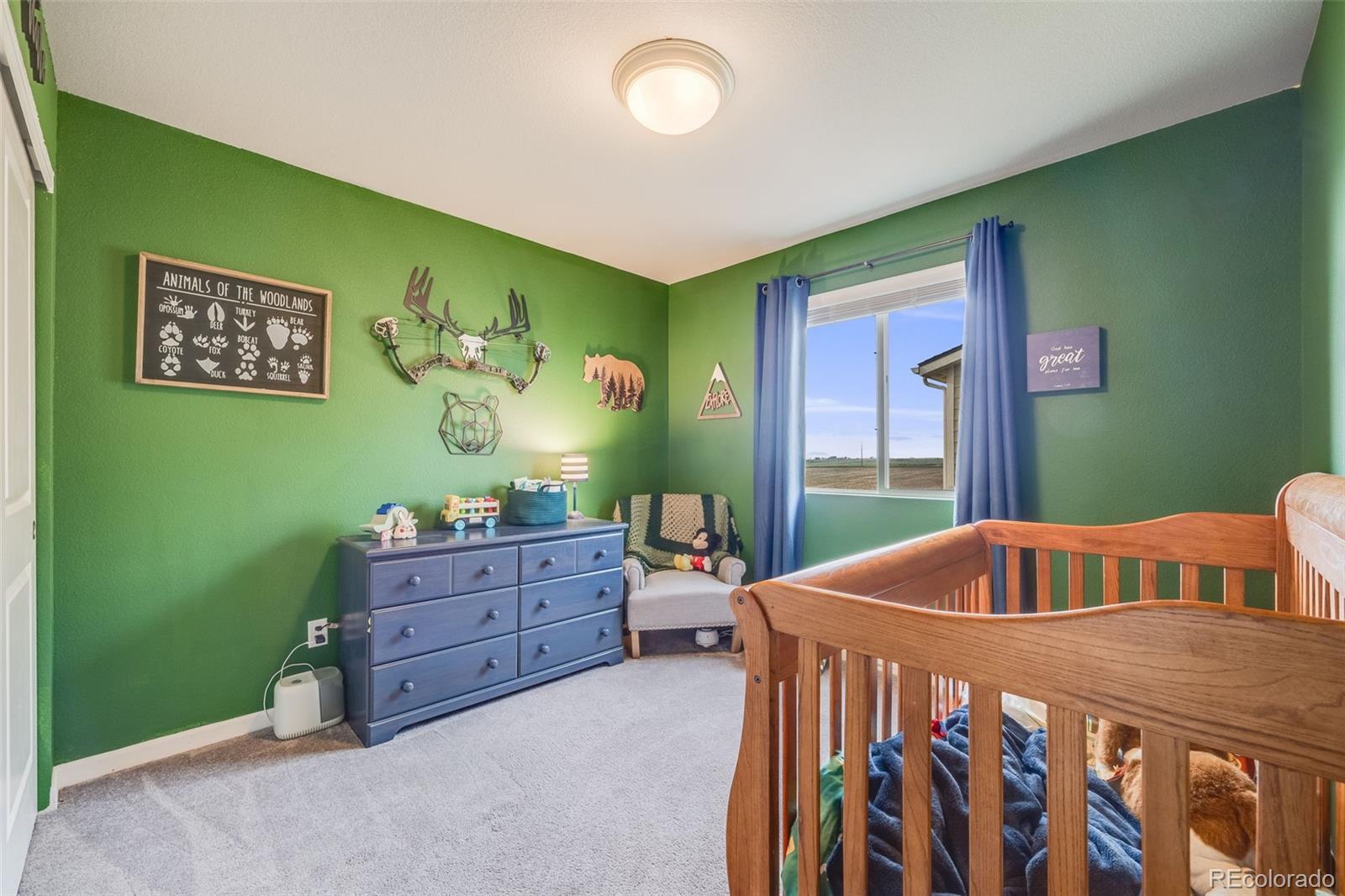 MLS Image #19 for 1108  glen creighton drive,dacono, Colorado