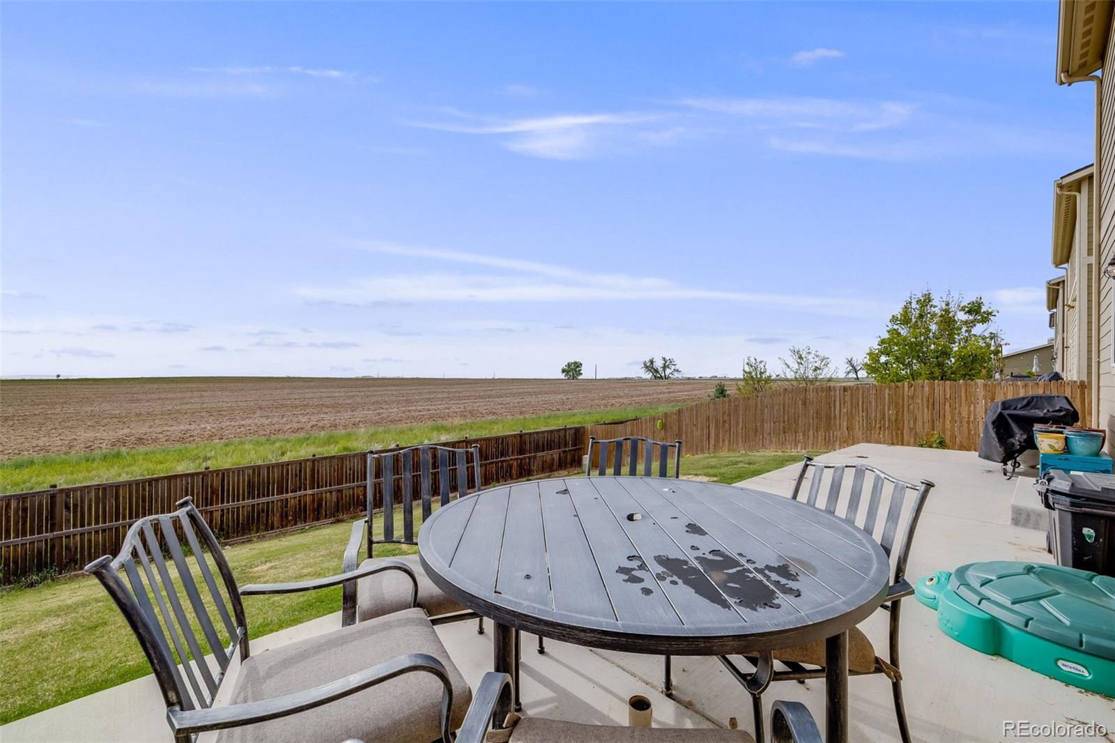 MLS Image #22 for 1108  glen creighton drive,dacono, Colorado