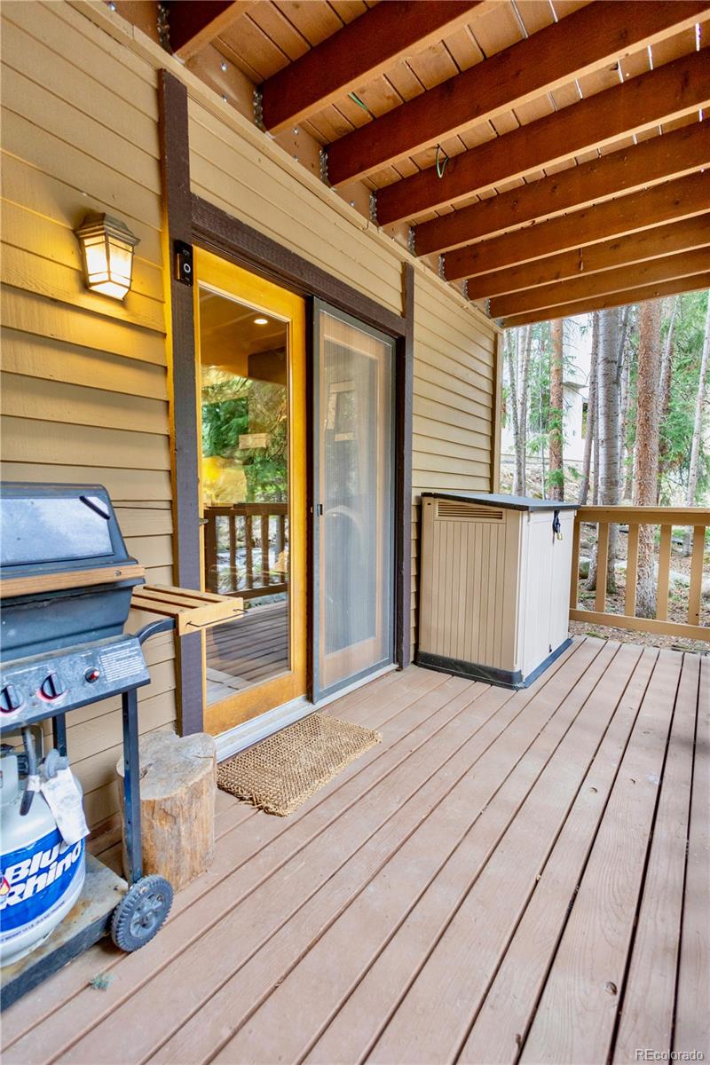 MLS Image #2 for 145  arapahoe road,winter park, Colorado