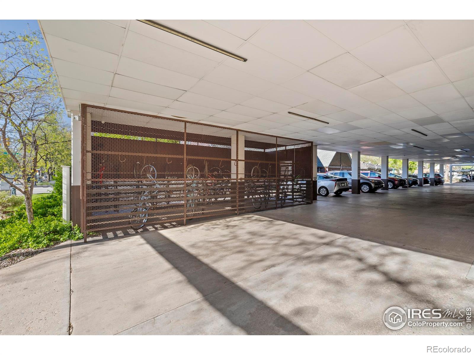 MLS Image #34 for 421 s howes street,fort collins, Colorado