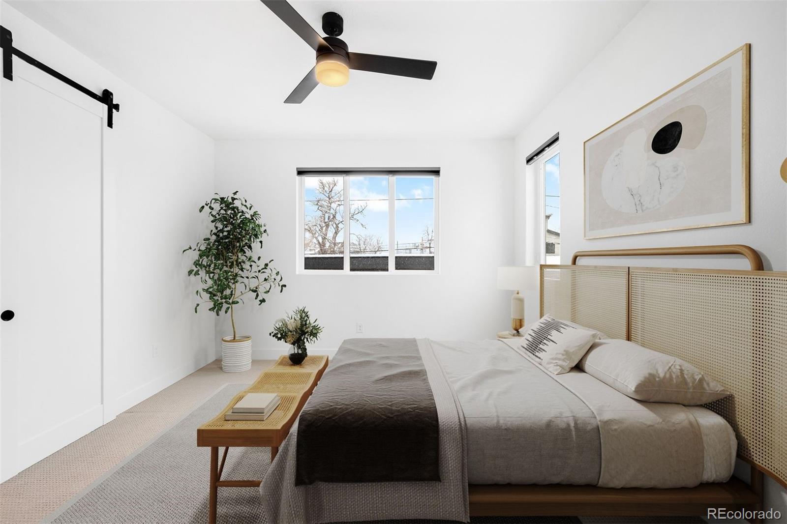 MLS Image #4 for 4227  mariposa street,denver, Colorado