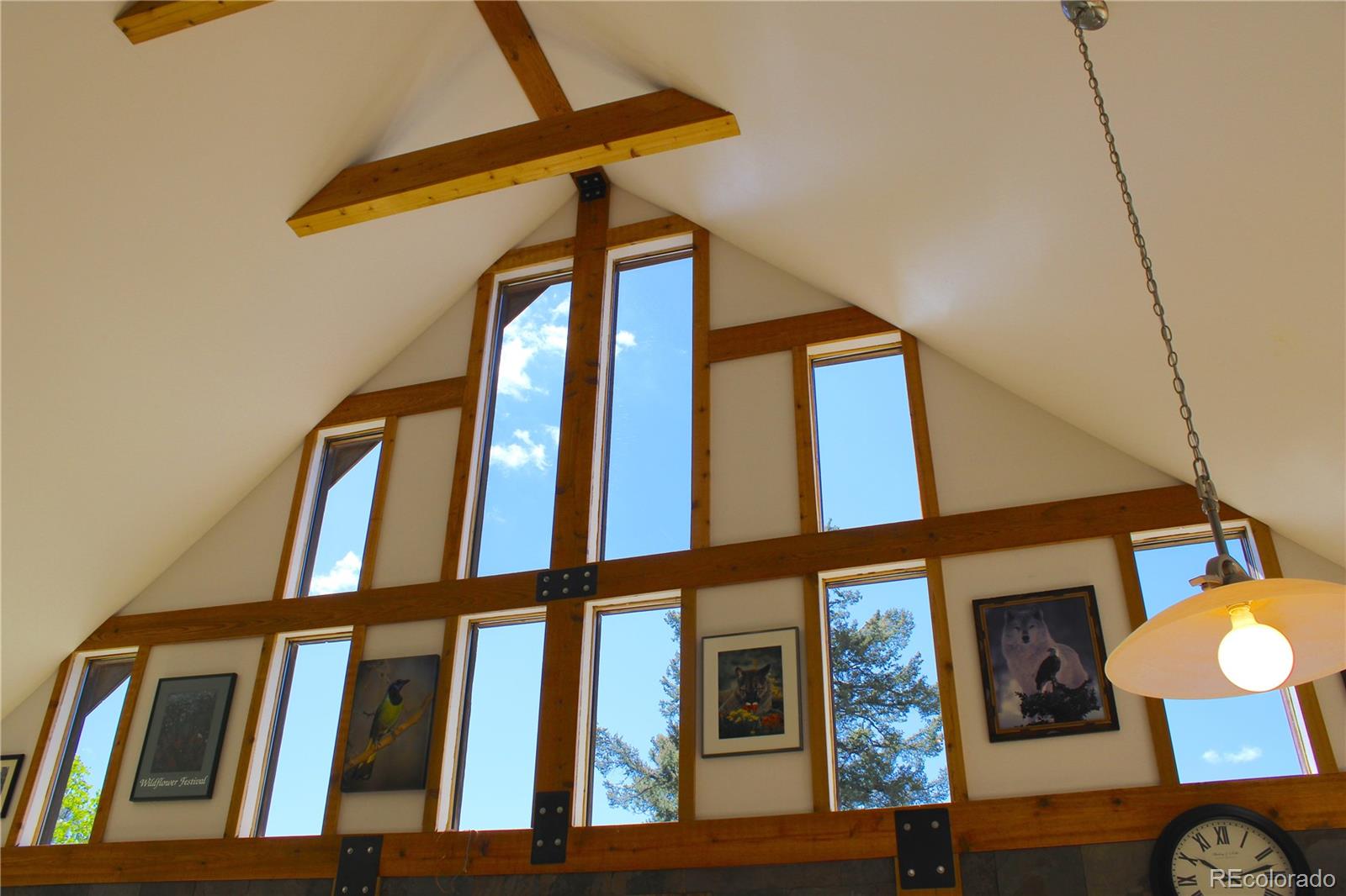 MLS Image #10 for 975  windmill drive,hartsel, Colorado