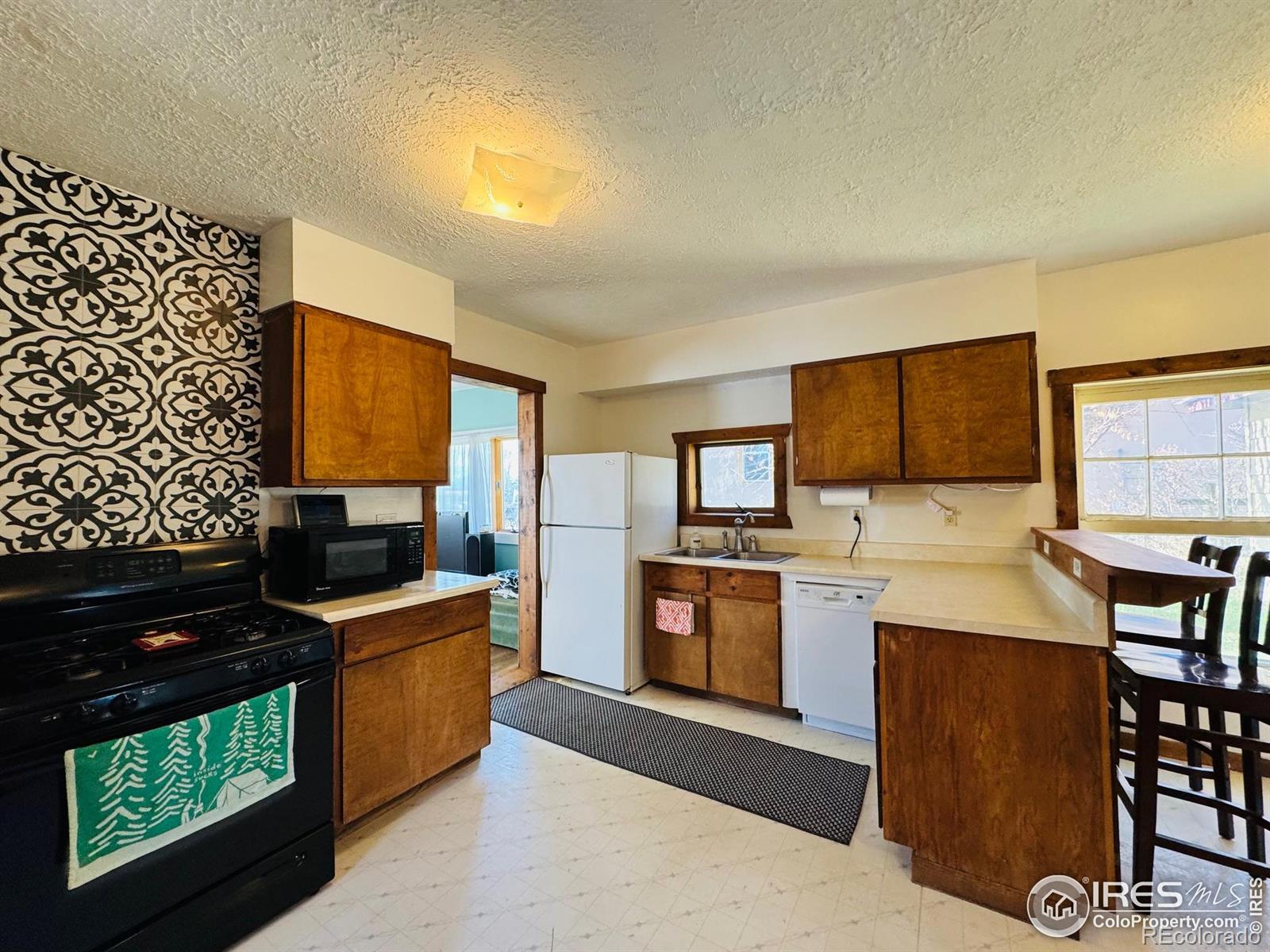MLS Image #6 for 484  washington street,walden, Colorado