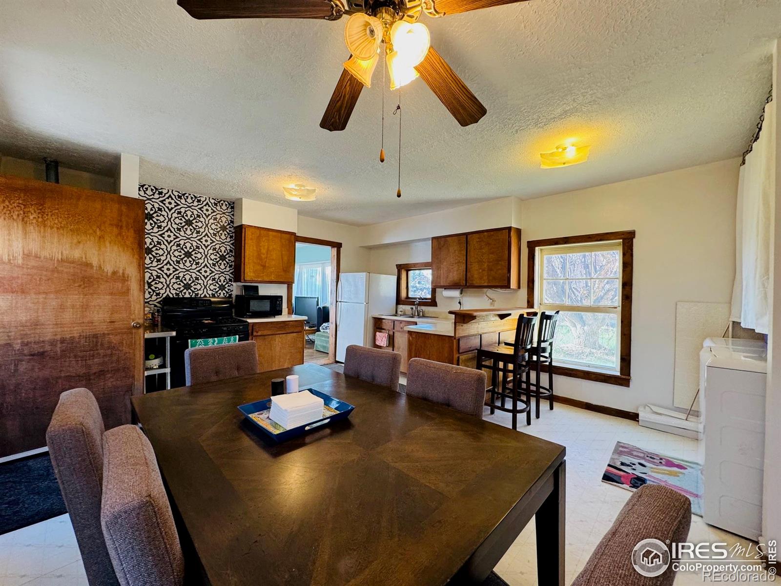 MLS Image #7 for 484  washington street,walden, Colorado