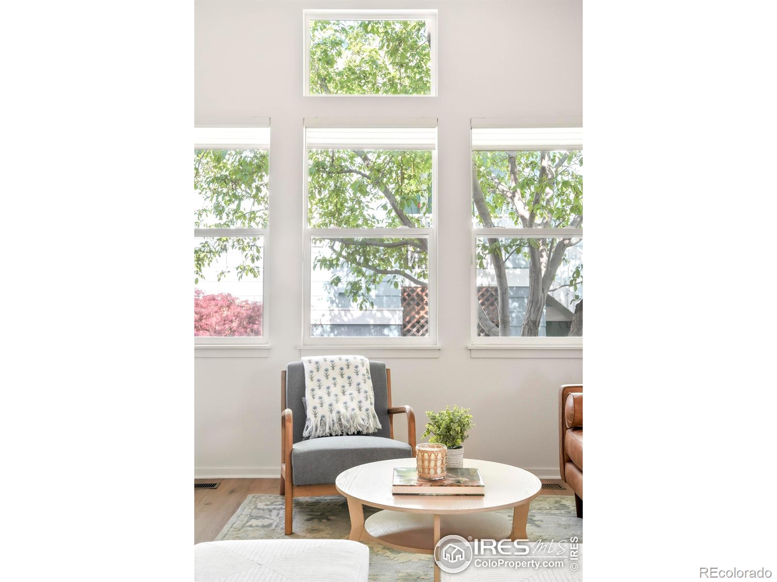 MLS Image #7 for 725  arrowood street,longmont, Colorado