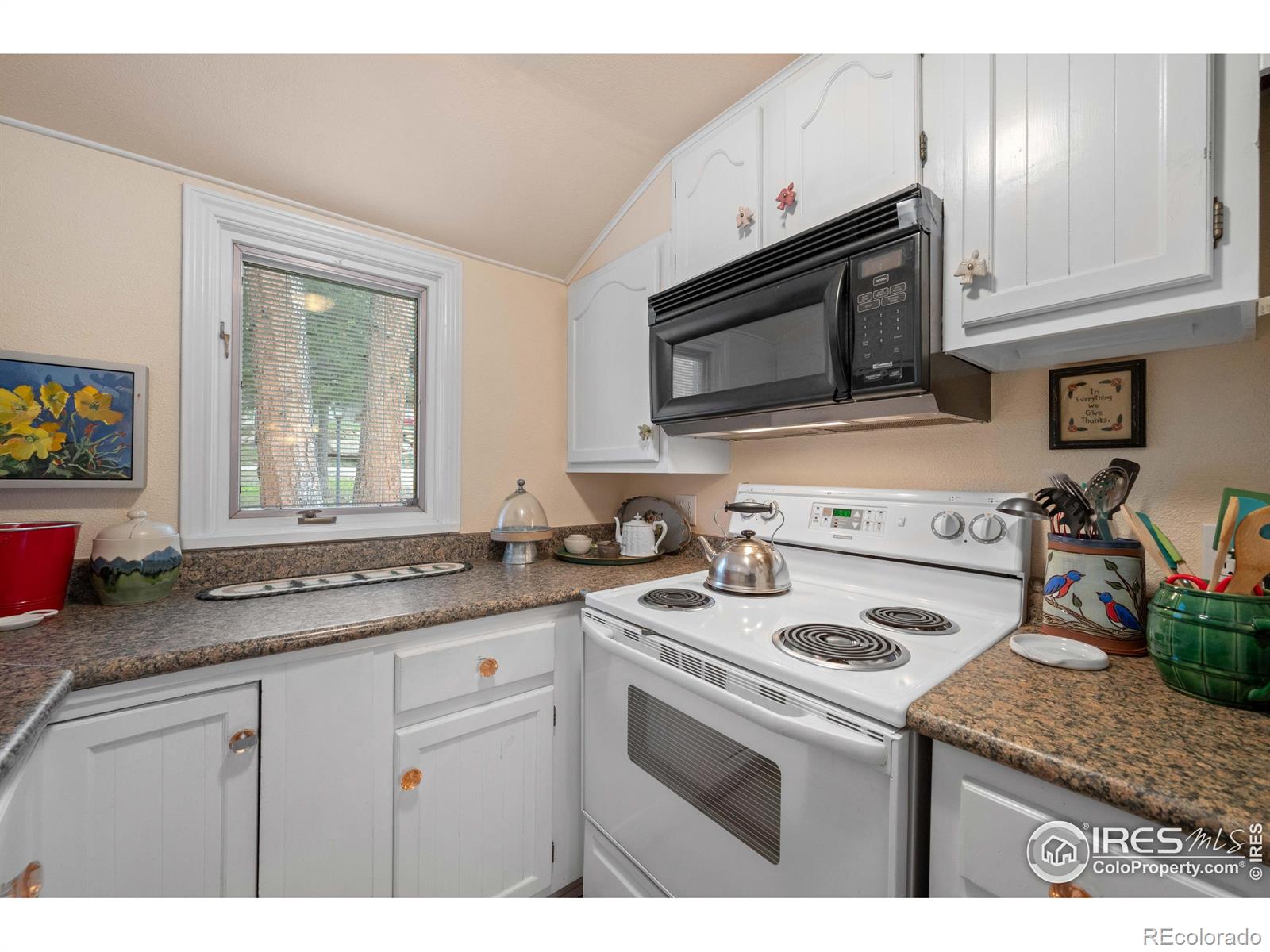 MLS Image #10 for 332  cedar drive,lyons, Colorado