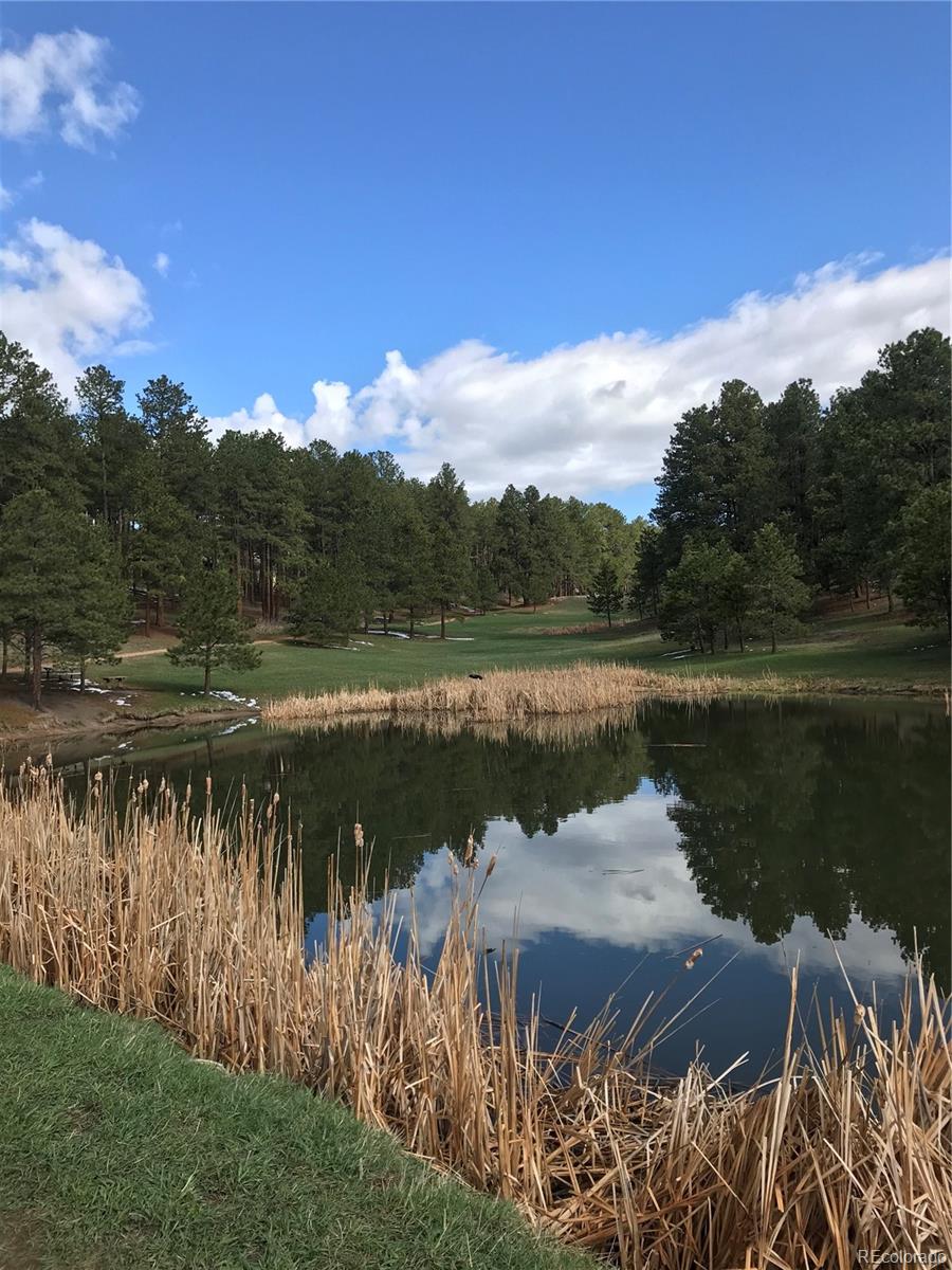 MLS Image #39 for 1185  fawnwood road,monument, Colorado