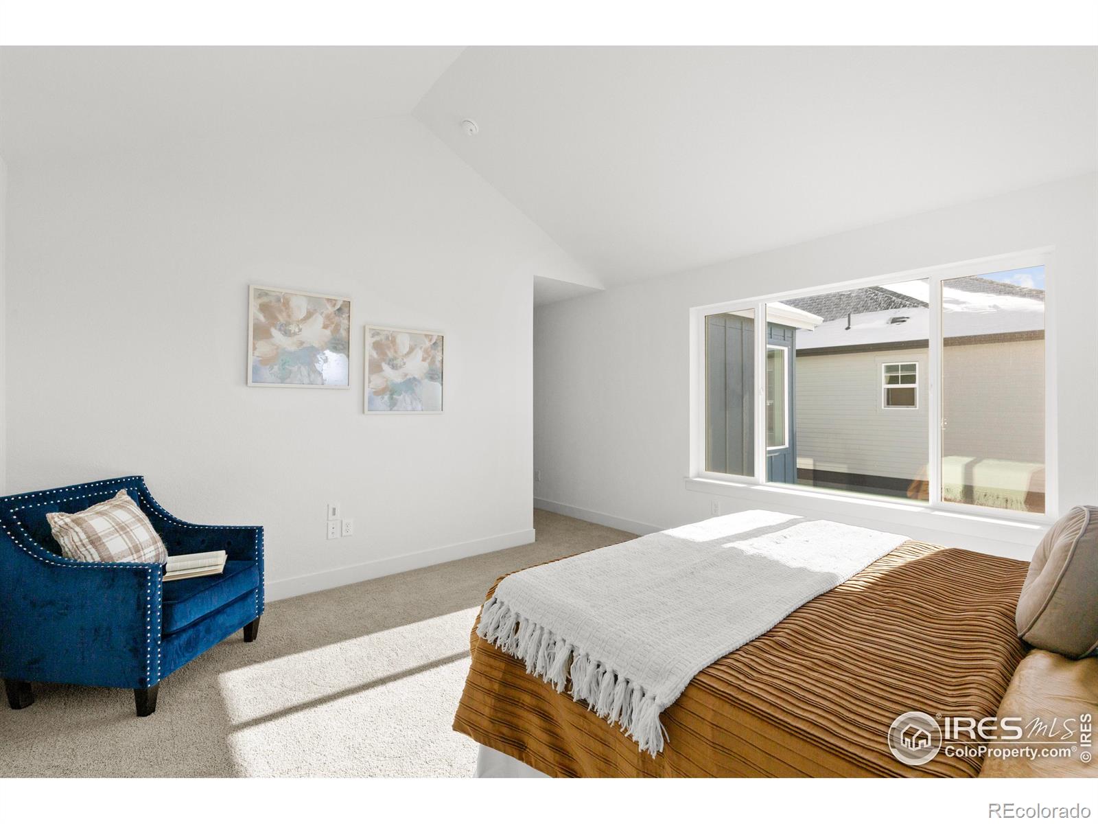 MLS Image #15 for 5211  beckworth street,timnath, Colorado