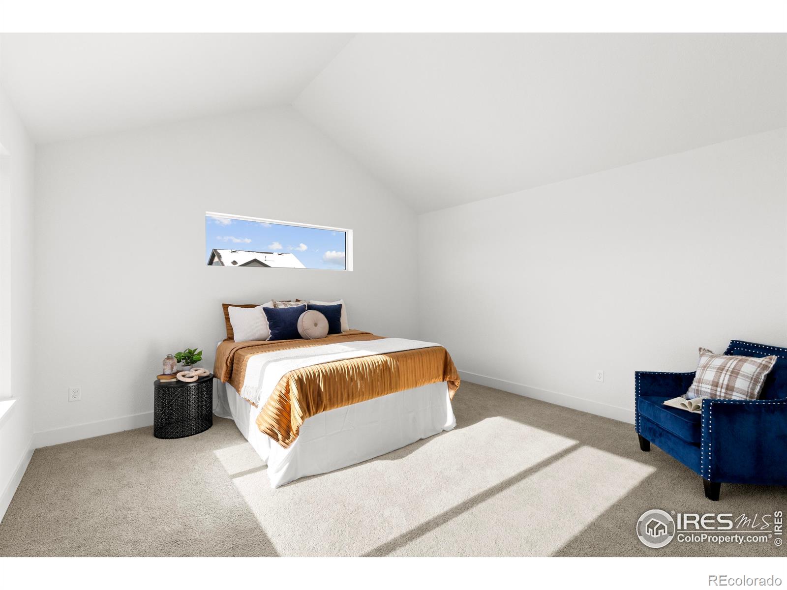 MLS Image #16 for 5211  beckworth street,timnath, Colorado