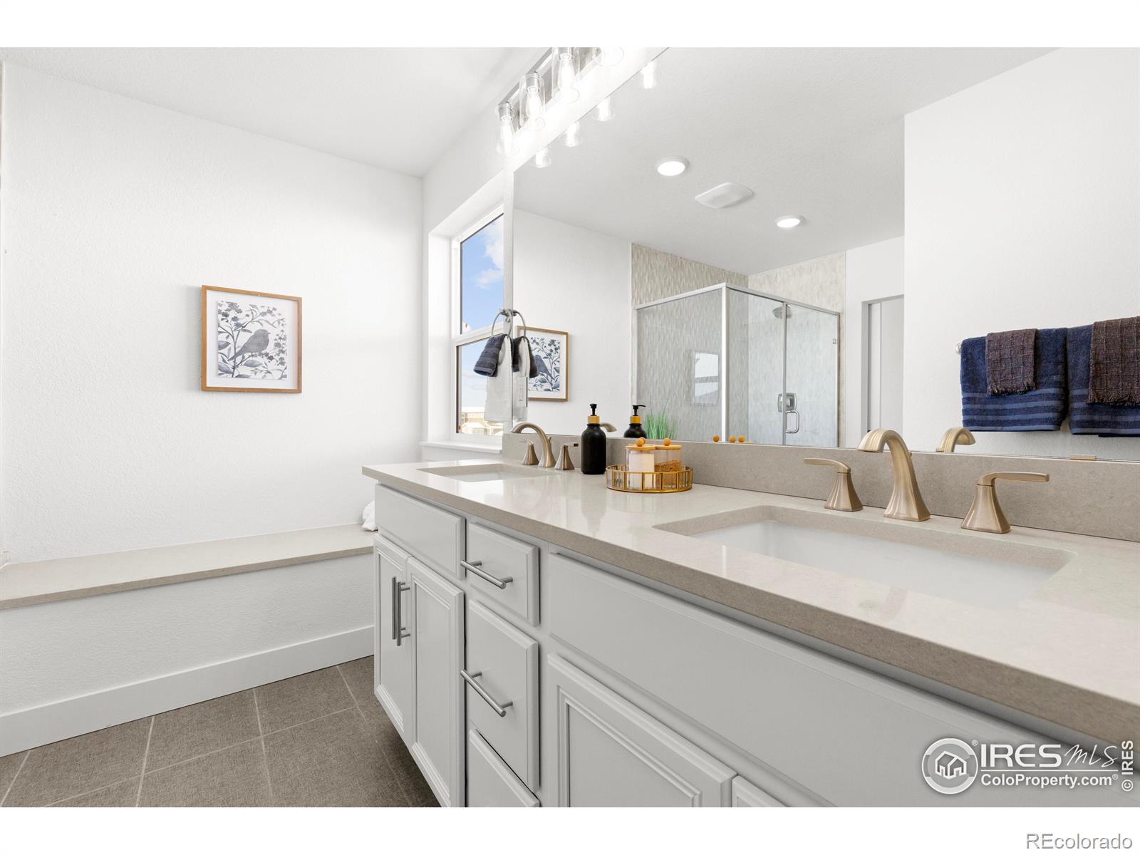 MLS Image #18 for 5211  beckworth street,timnath, Colorado