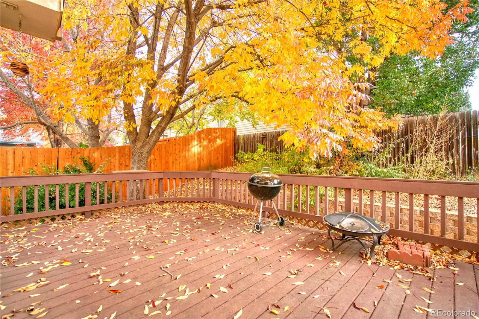MLS Image #43 for 756  brookside drive,longmont, Colorado