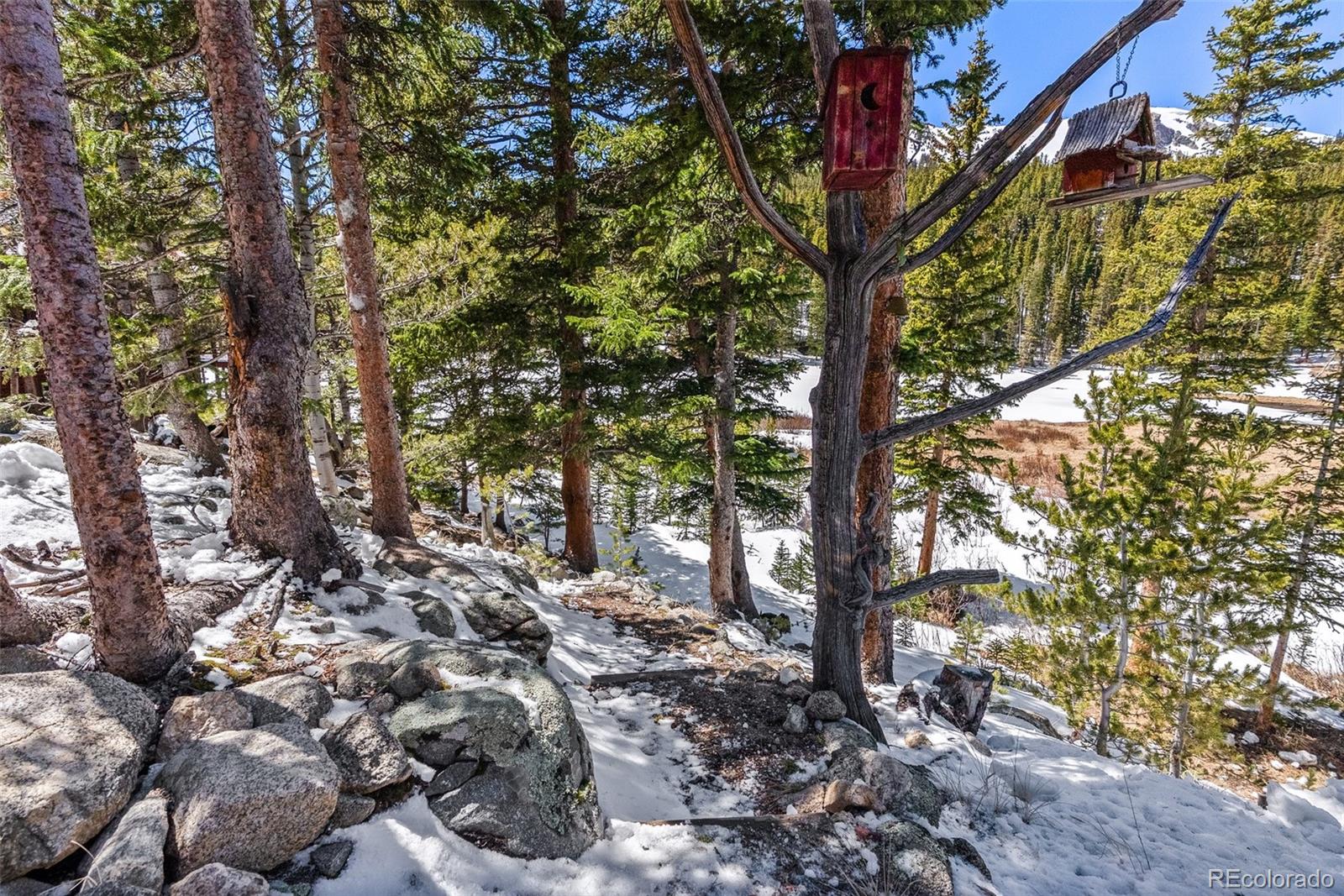 MLS Image #30 for 563  brook drive,idaho springs, Colorado