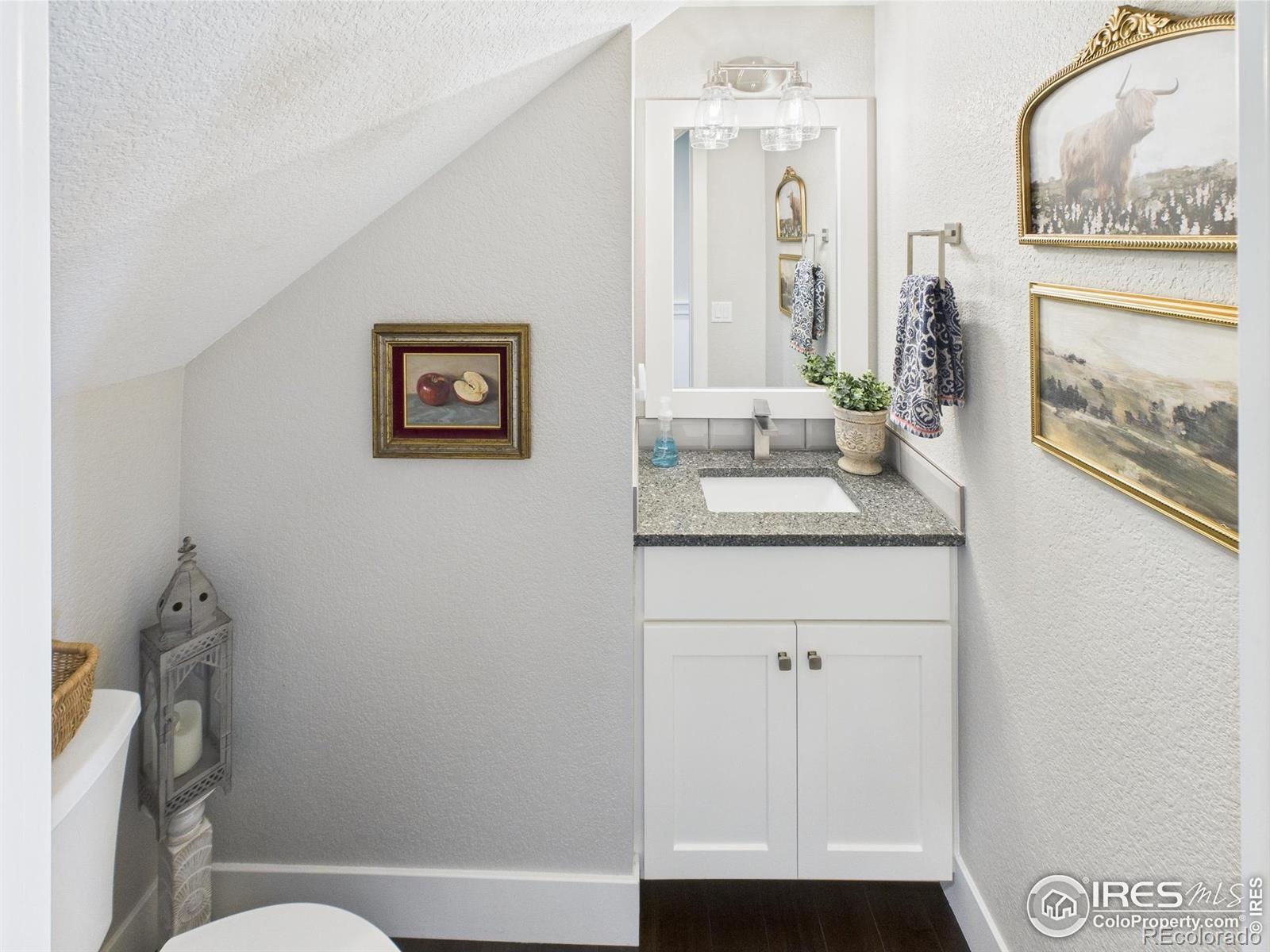 MLS Image #18 for 1048  riverplace drive,windsor, Colorado
