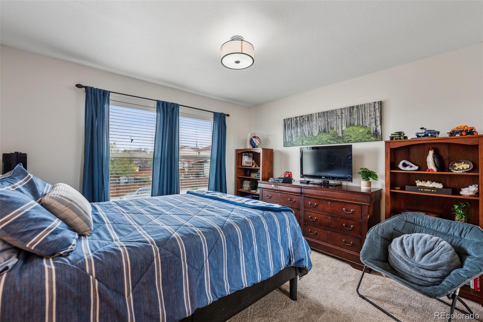 MLS Image #39 for 1055  lindstrom drive,colorado springs, Colorado