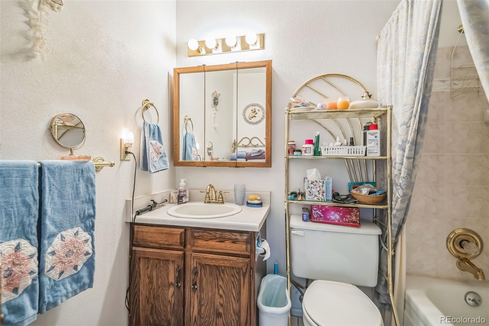 MLS Image #19 for 11321 n brownstone drive,parker, Colorado