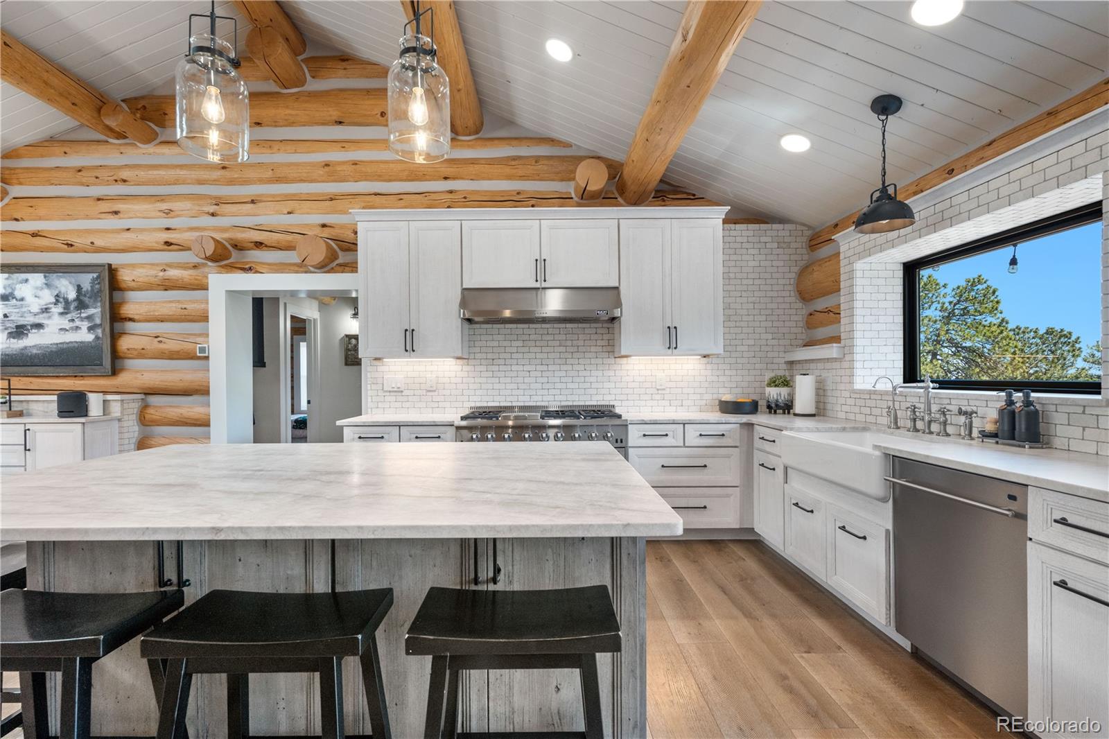 MLS Image #11 for 1651  pine valley road,evergreen, Colorado