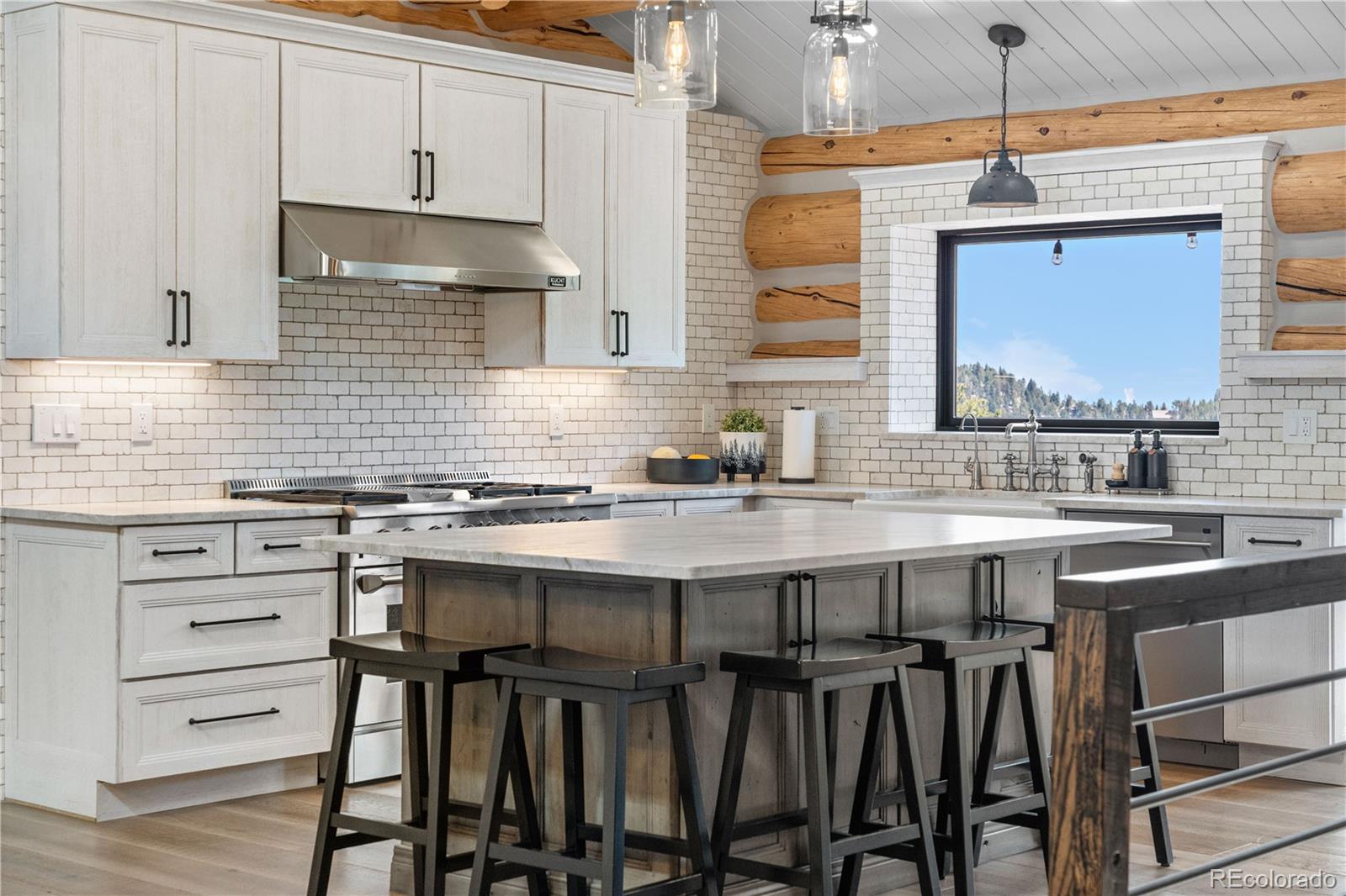 MLS Image #13 for 1651  pine valley road,evergreen, Colorado
