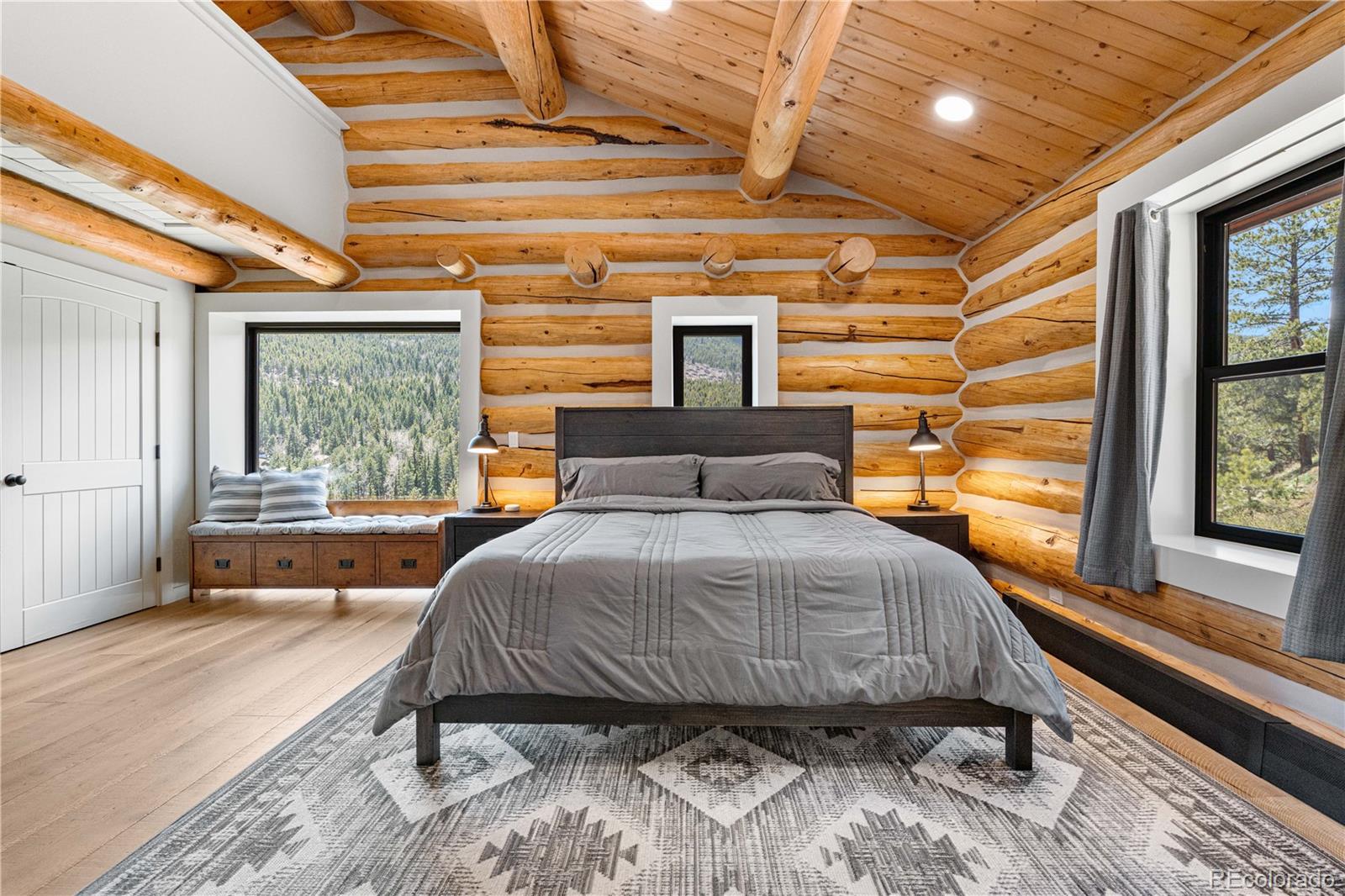 MLS Image #16 for 1651  pine valley road,evergreen, Colorado