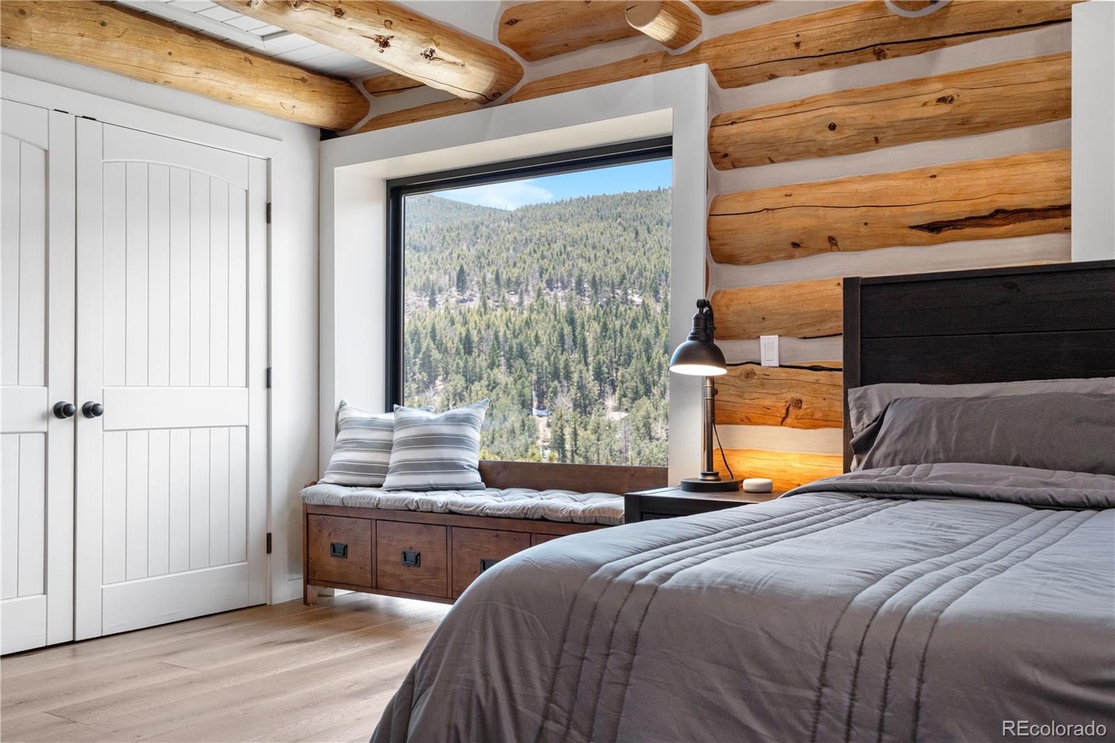MLS Image #17 for 1651  pine valley road,evergreen, Colorado