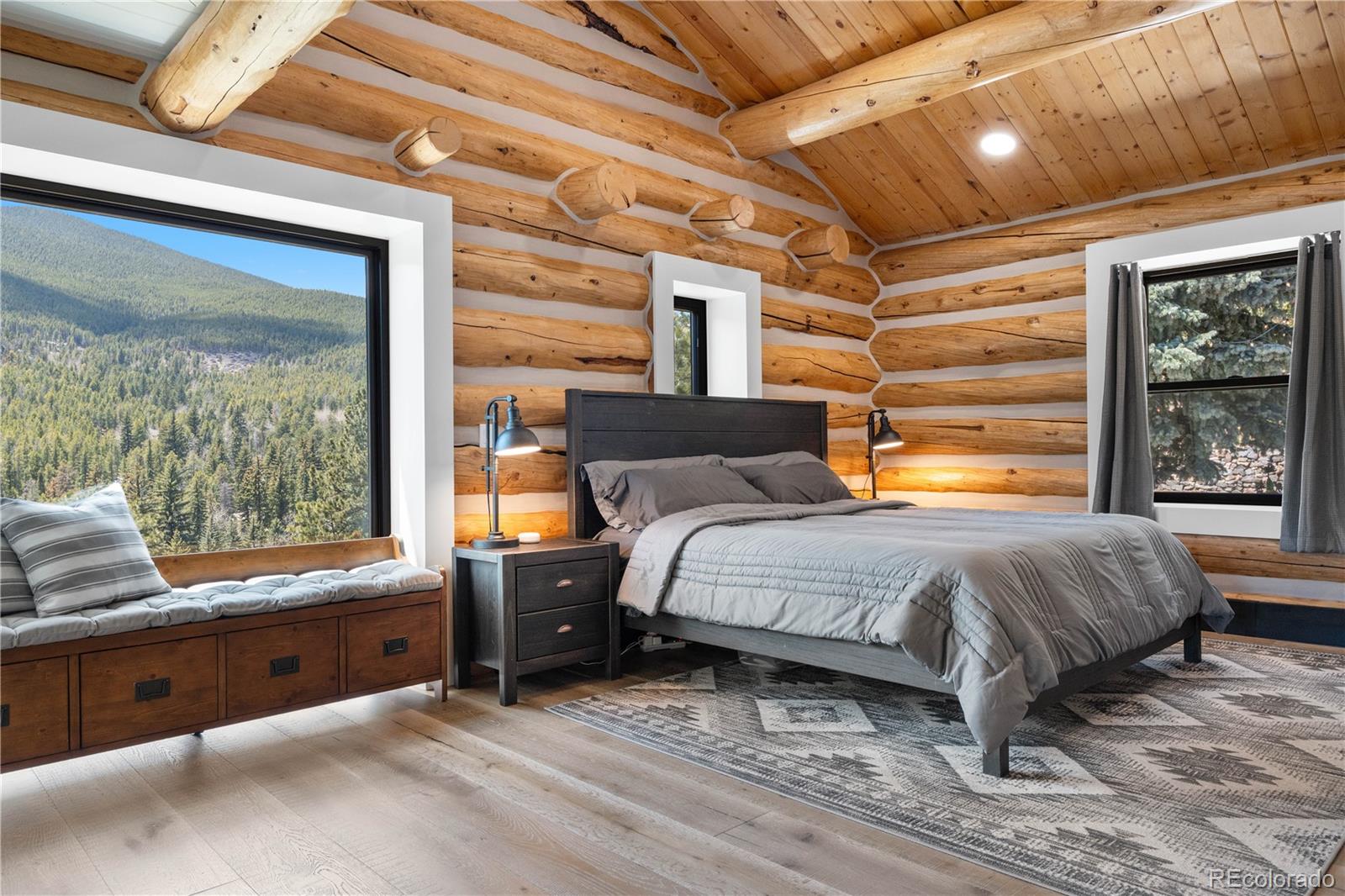 MLS Image #18 for 1651  pine valley road,evergreen, Colorado