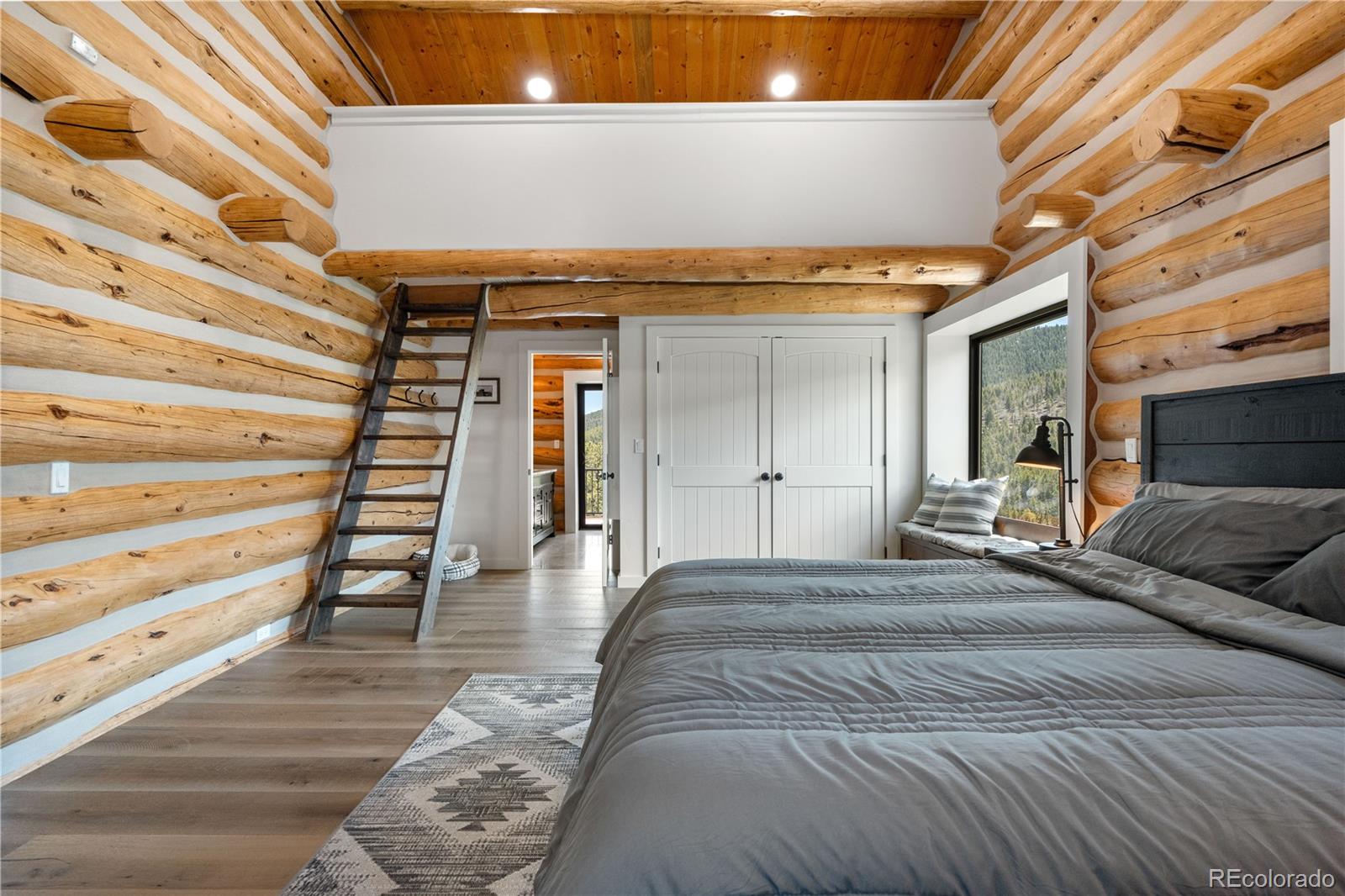 MLS Image #19 for 1651  pine valley road,evergreen, Colorado