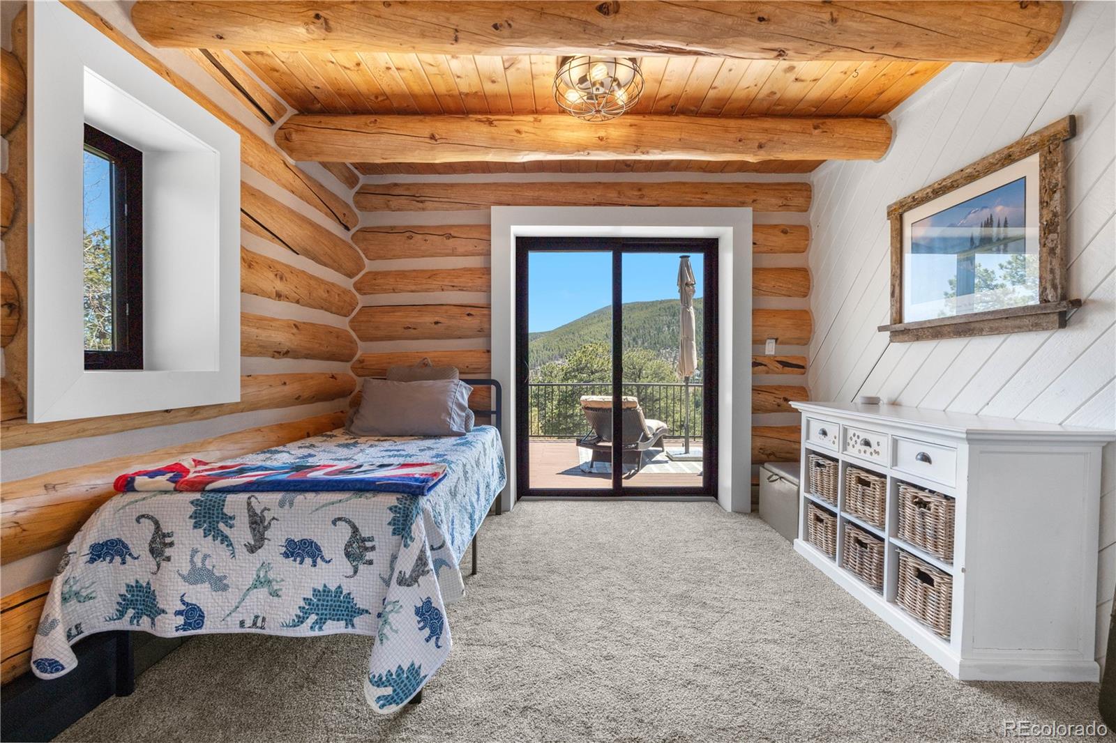 MLS Image #24 for 1651  pine valley road,evergreen, Colorado