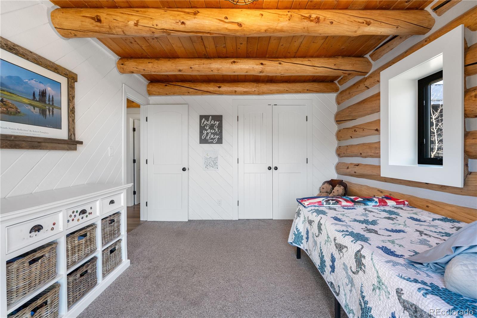 MLS Image #25 for 1651  pine valley road,evergreen, Colorado