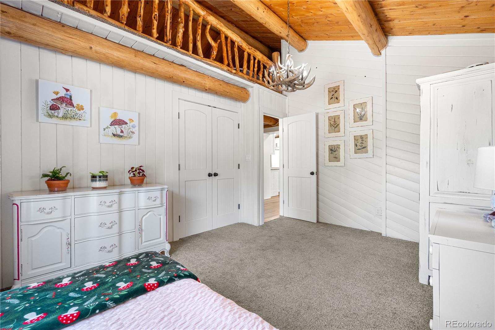 MLS Image #29 for 1651  pine valley road,evergreen, Colorado
