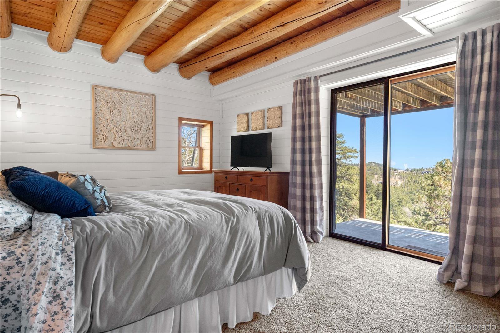 MLS Image #38 for 1651  pine valley road,evergreen, Colorado