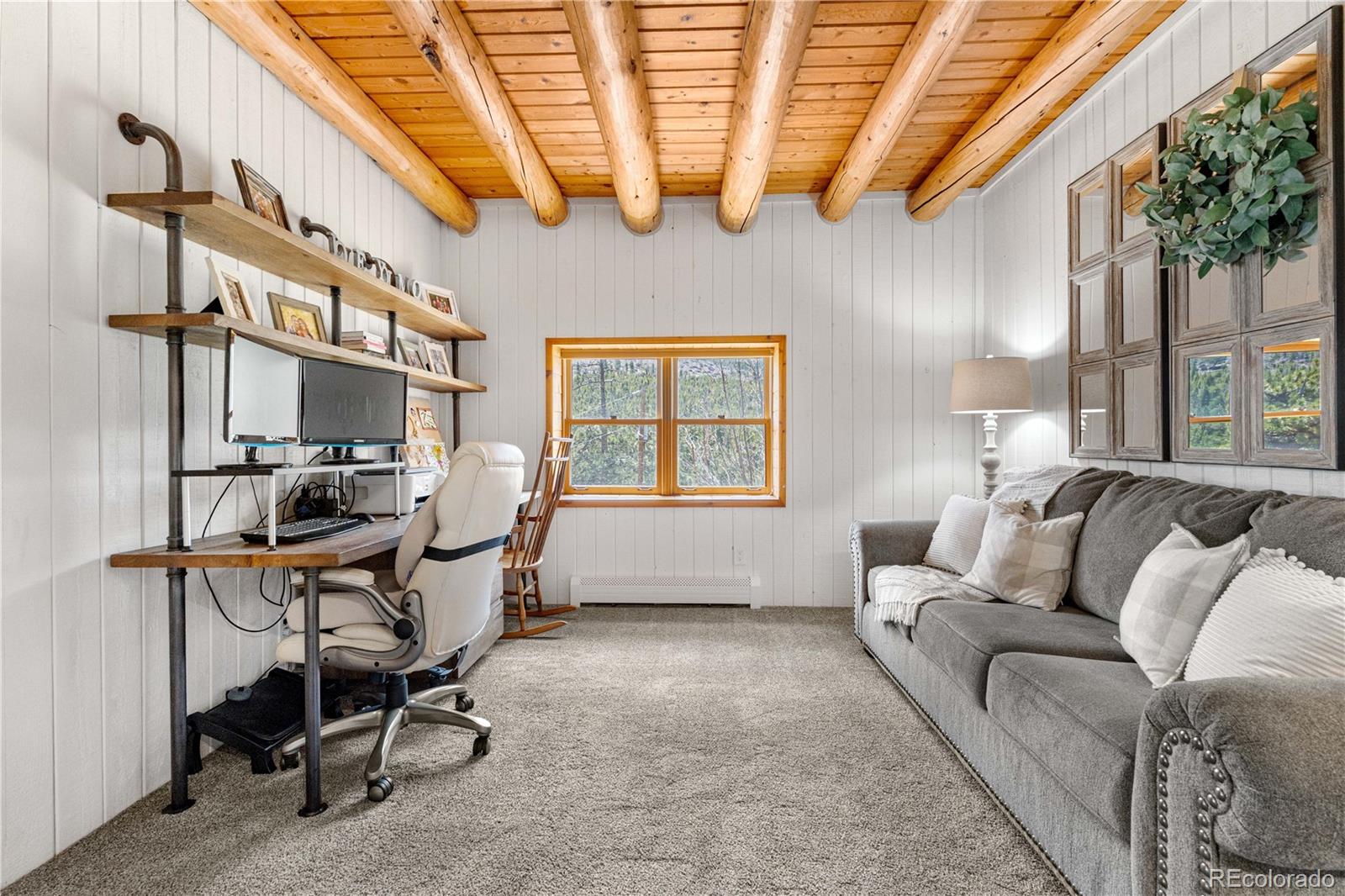 MLS Image #41 for 1651  pine valley road,evergreen, Colorado