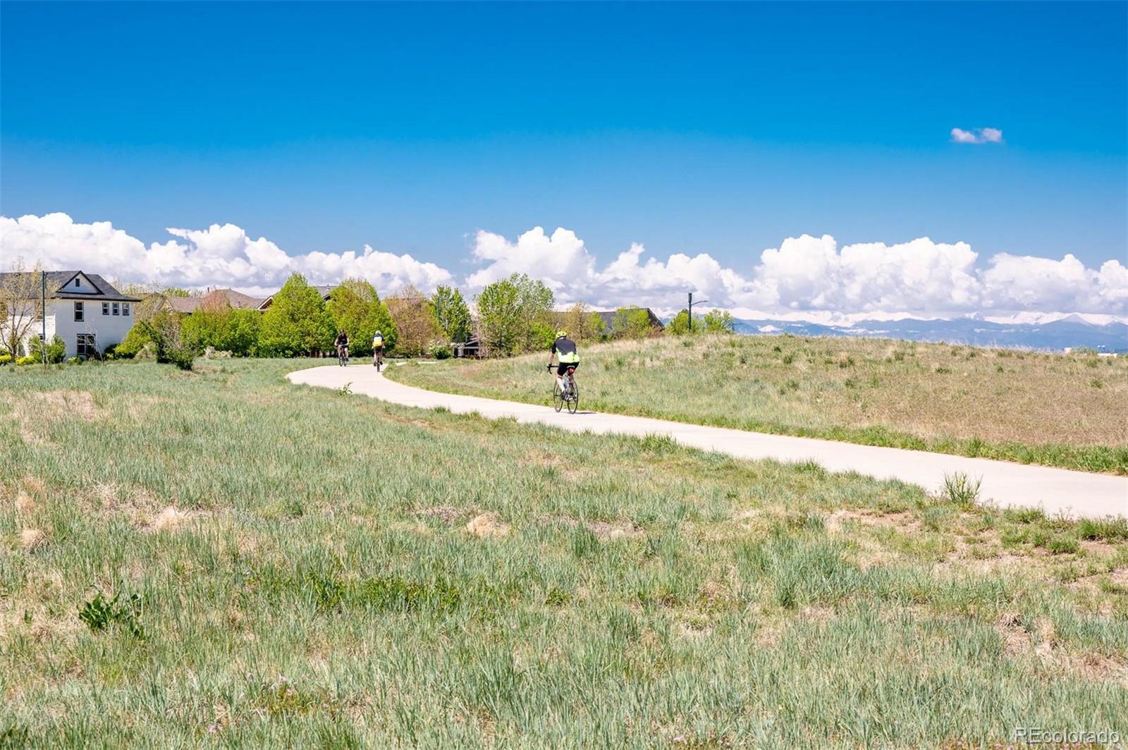 MLS Image #29 for 3171  fulton street,denver, Colorado